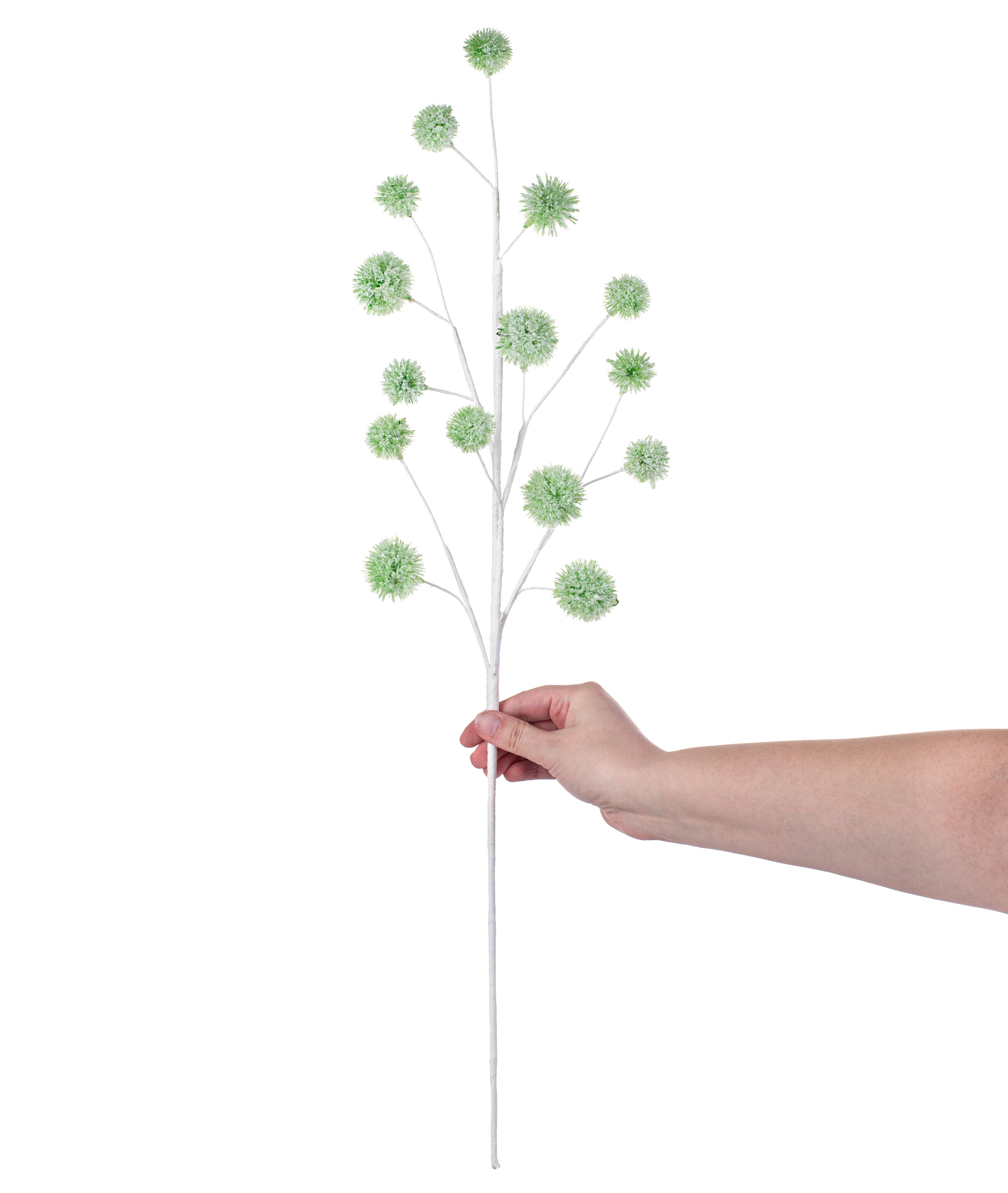 28" Snowball Allium Spray: Mint detail photo 3