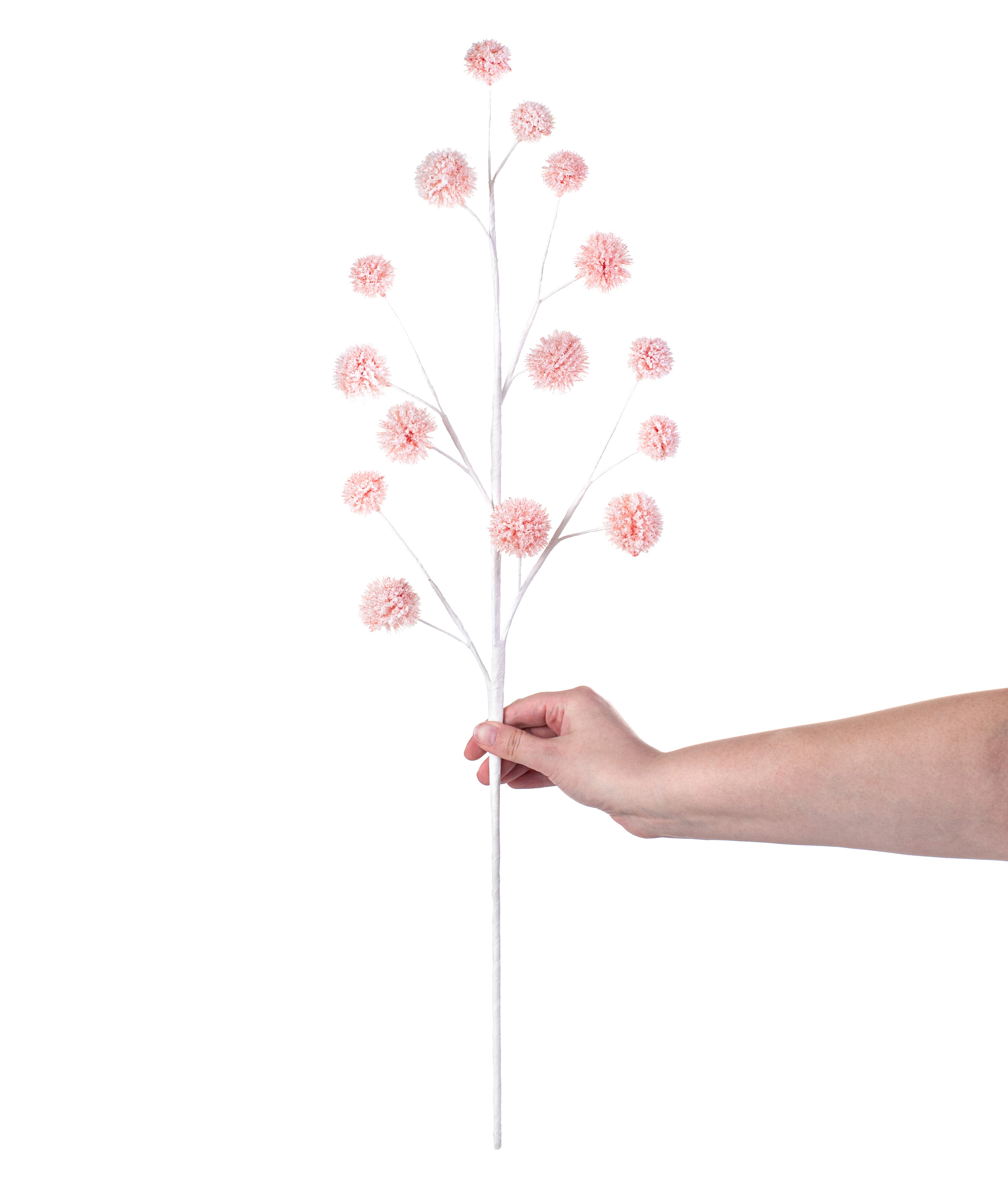 28" Snowball Allium Spray: Pink detail photo 3