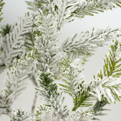19" Snowy Bald Cypress Pine Spray Lifestyle Photo
