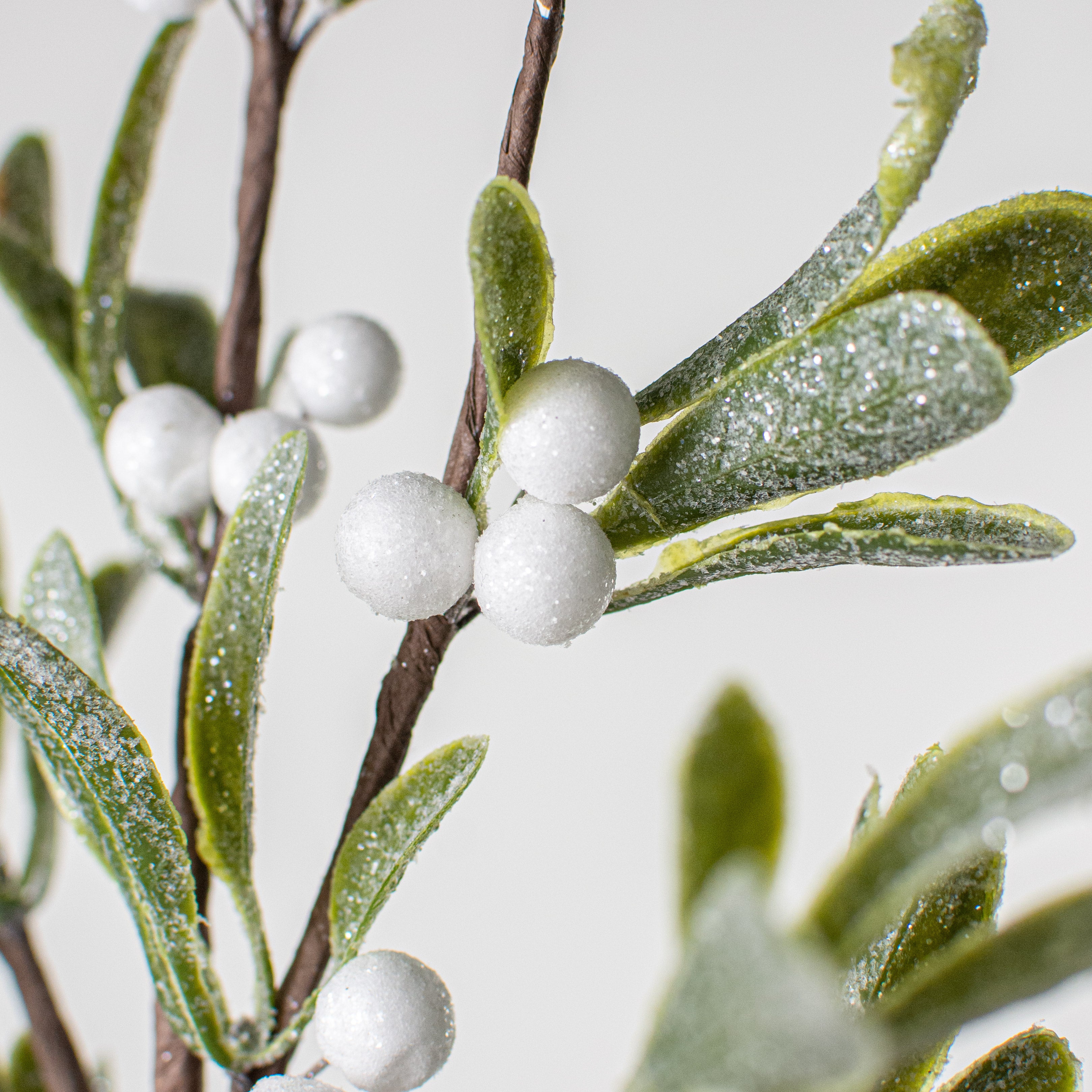 24" Snowy Glittered Mistletoe Spray Lifestyle Photo