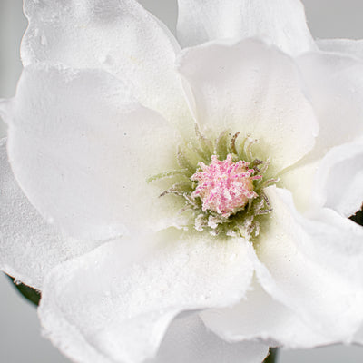 29" Snowy Magnolia Flower Stem Lifestyle Photo
