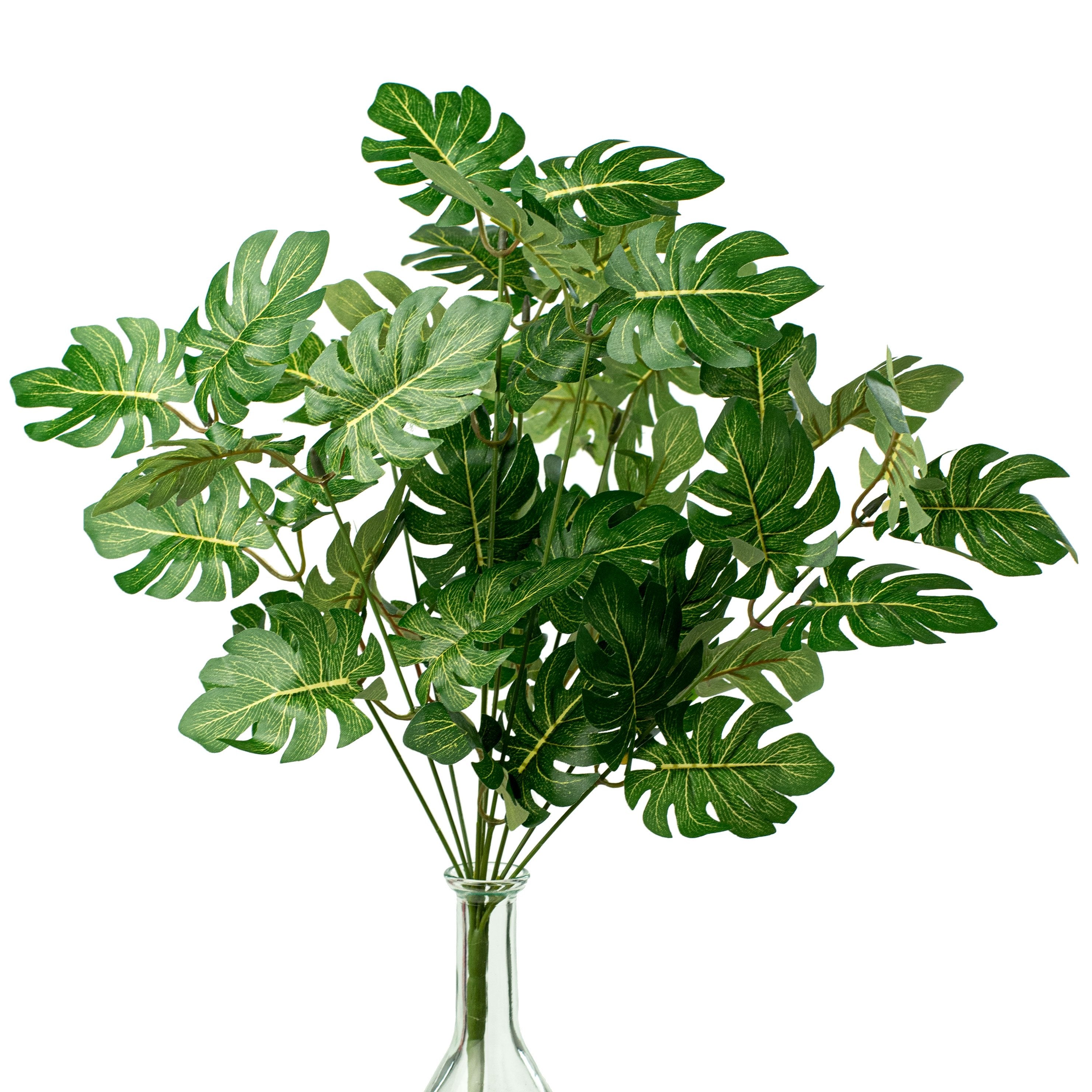 split leaf philodendron price 17" Green Philo Bush 13398GN
