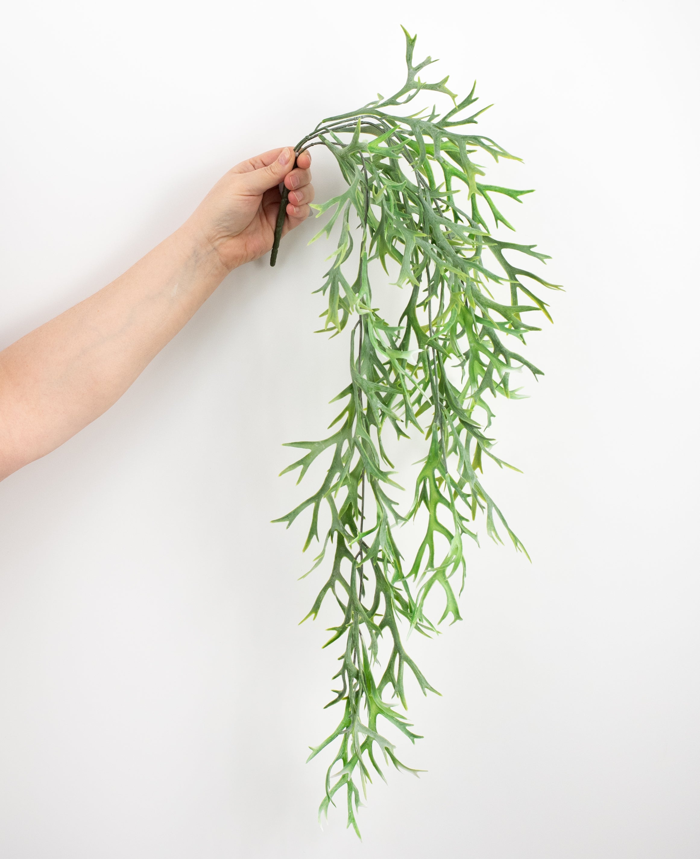 30" Staghorn Fern Hanging Leaf Spray detail photo 3