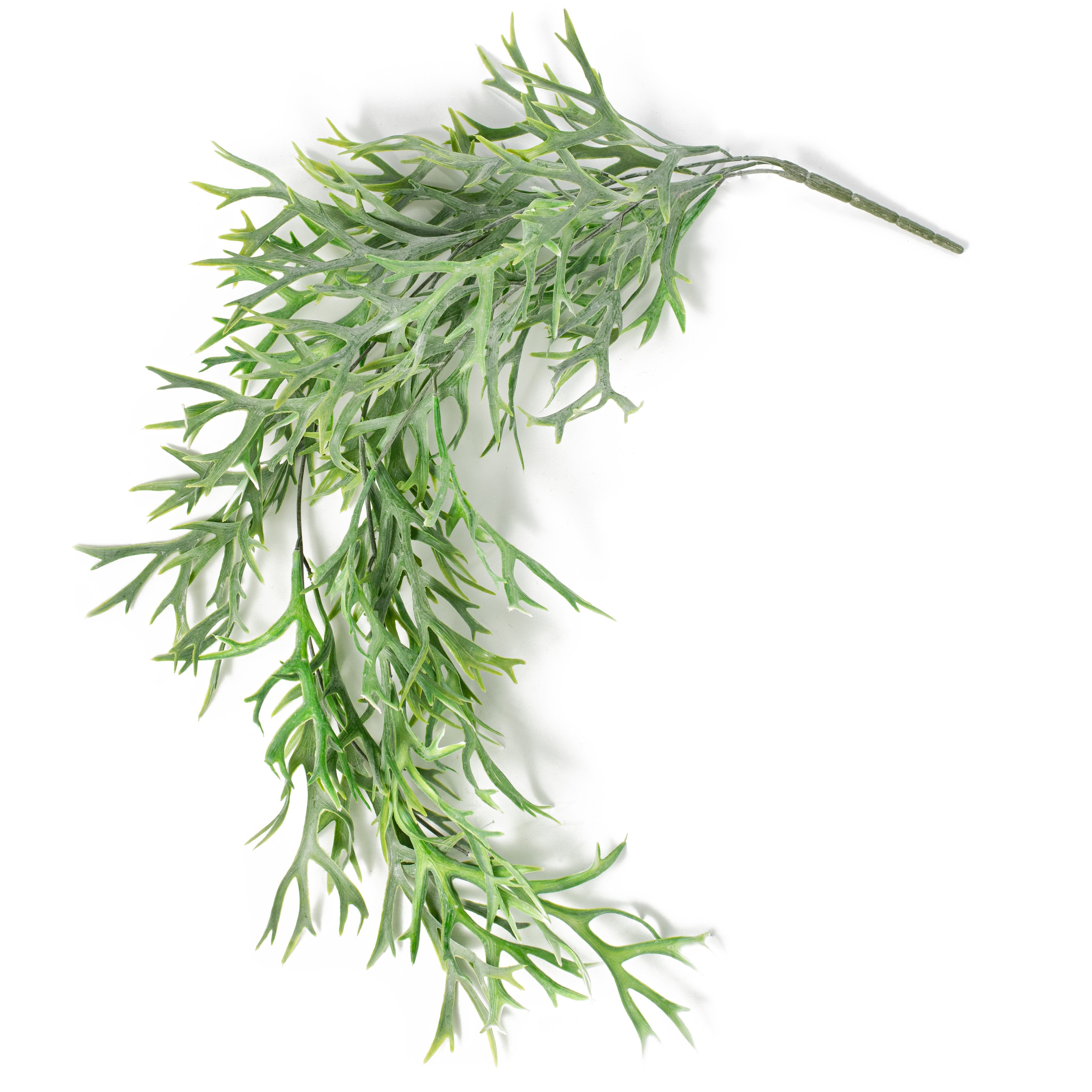 30" Staghorn Fern Hanging Leaf Spray Item Number: FG641876