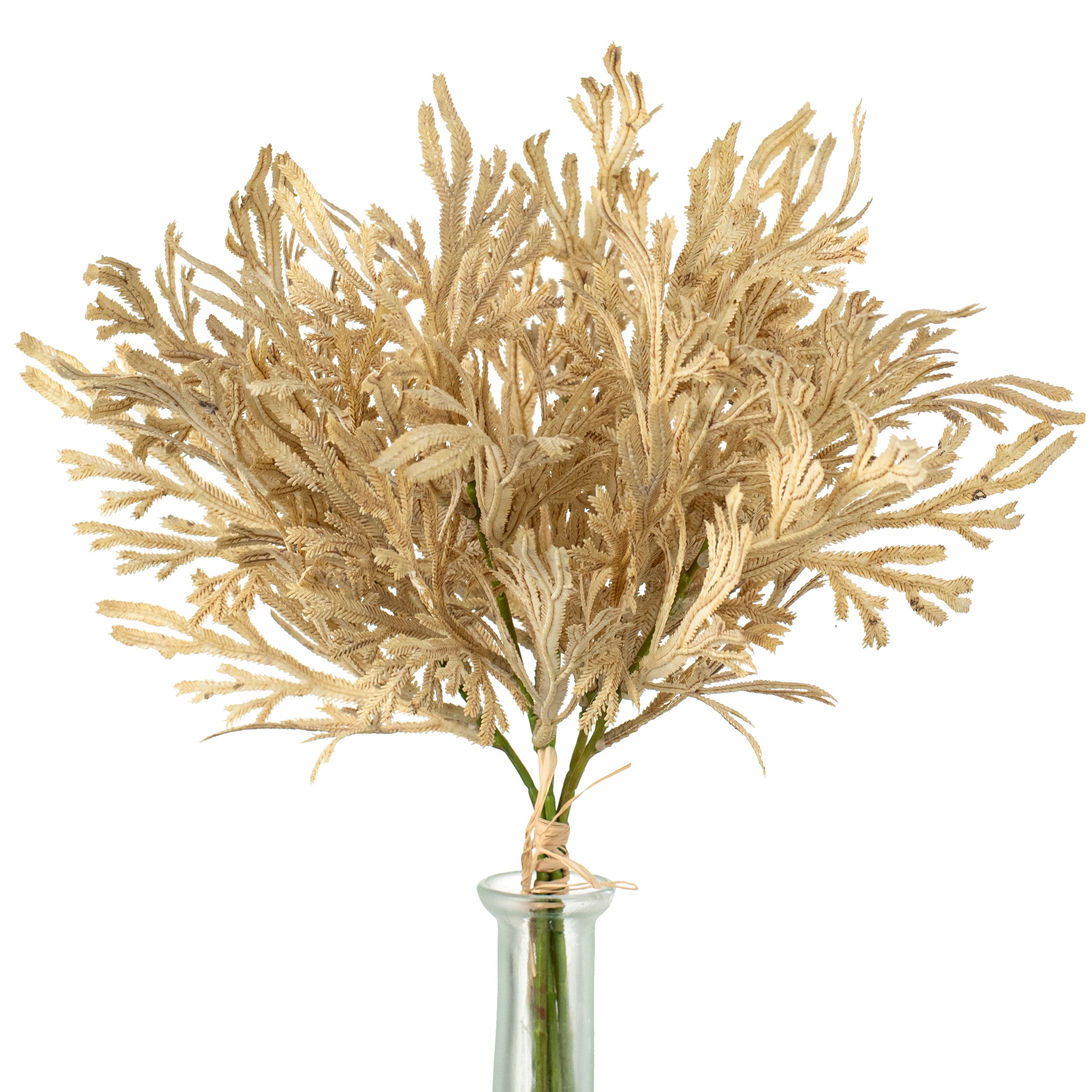 15" Staghorn Leaf Bundle: Dark Beige Item Number: 2751115BE