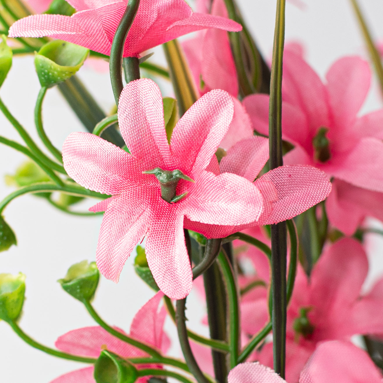 19" Star Blossom Bush: Pink Lifestyle Photo