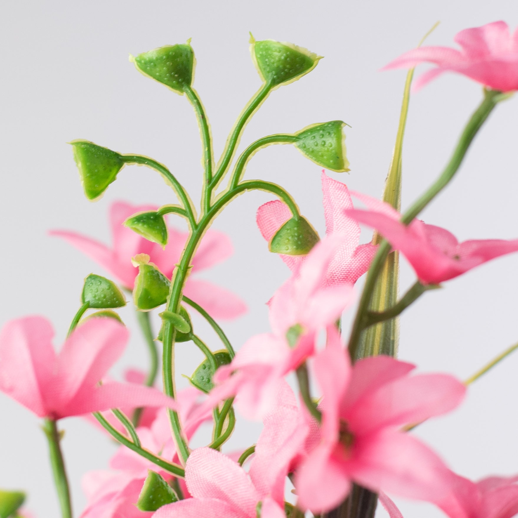 19" Star Blossom Bush: Pink detail photo 4
