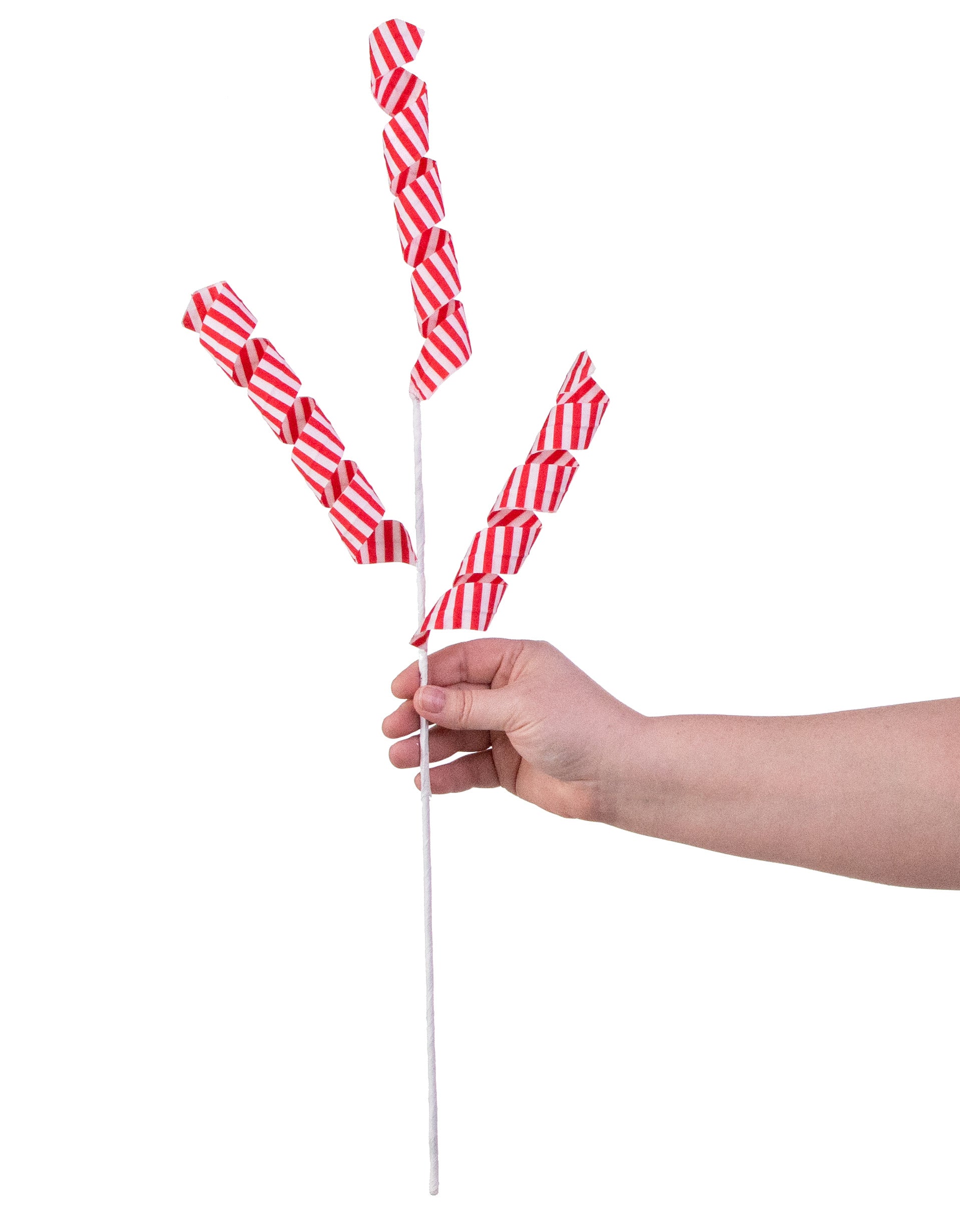24" Stripe Curly Pick: Red & White detail photo 3