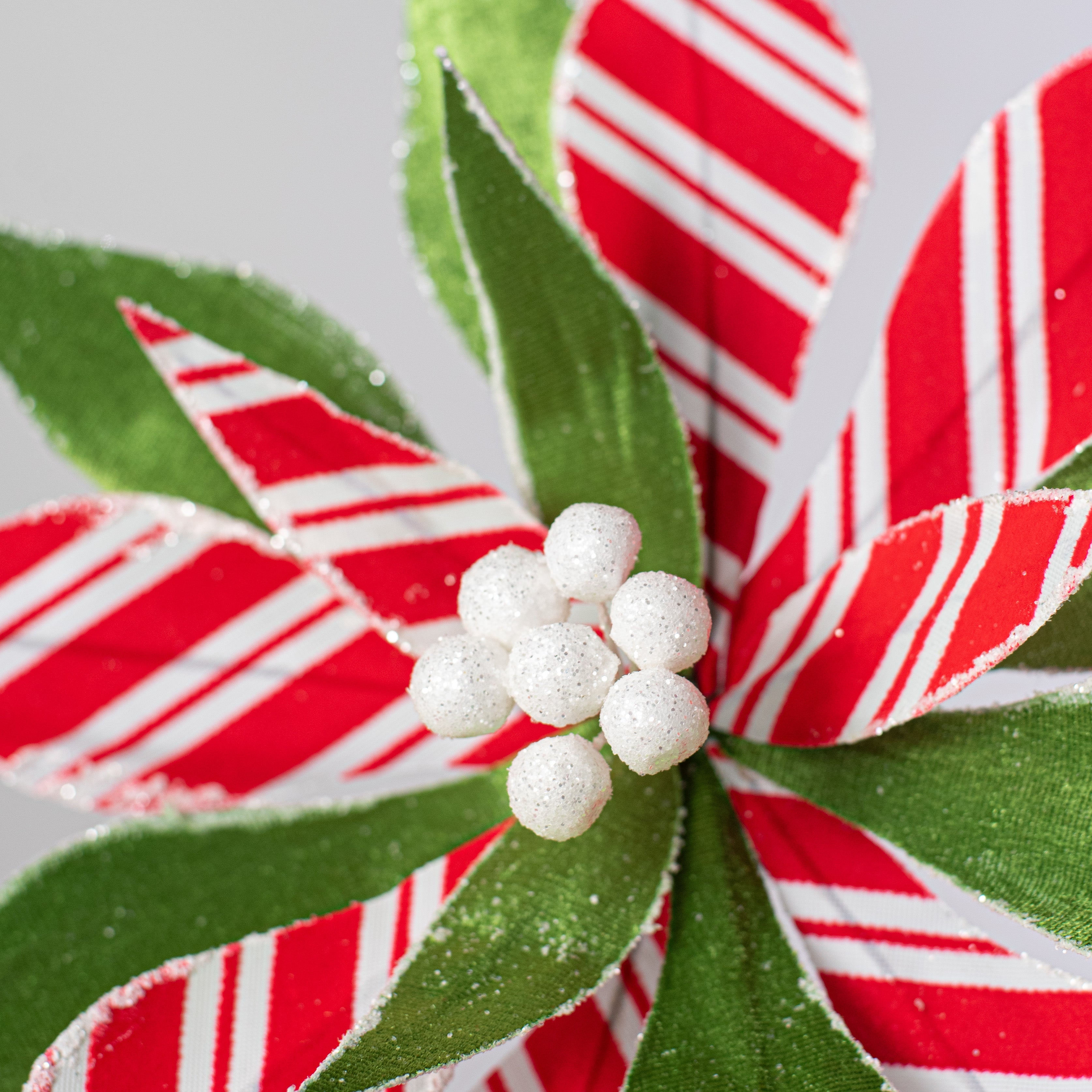 22" Stripe Poinsettia Stem: Red, Green, White Lifestyle Photo