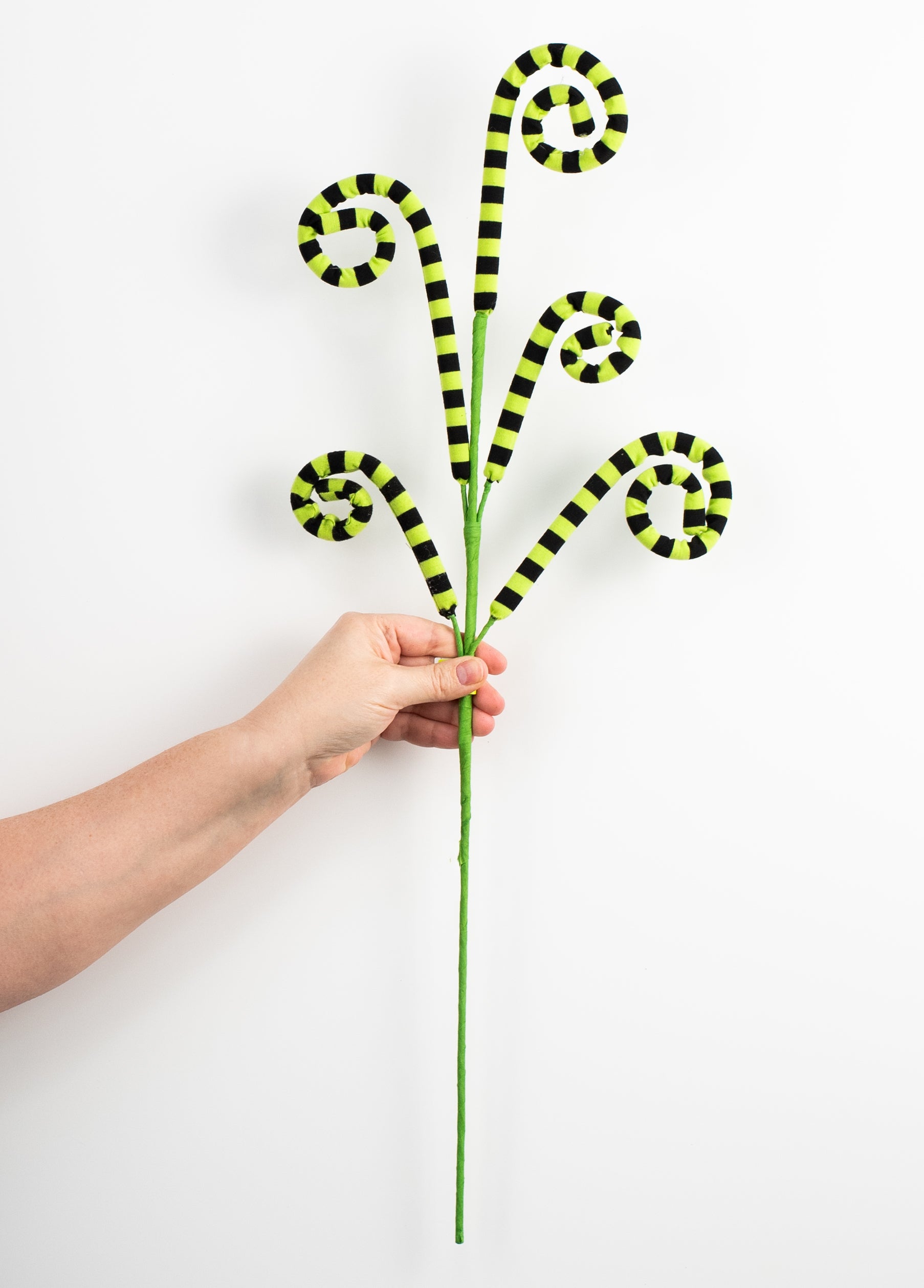 26" Striped Curly Spray: Lime Green & Black detail photo 3