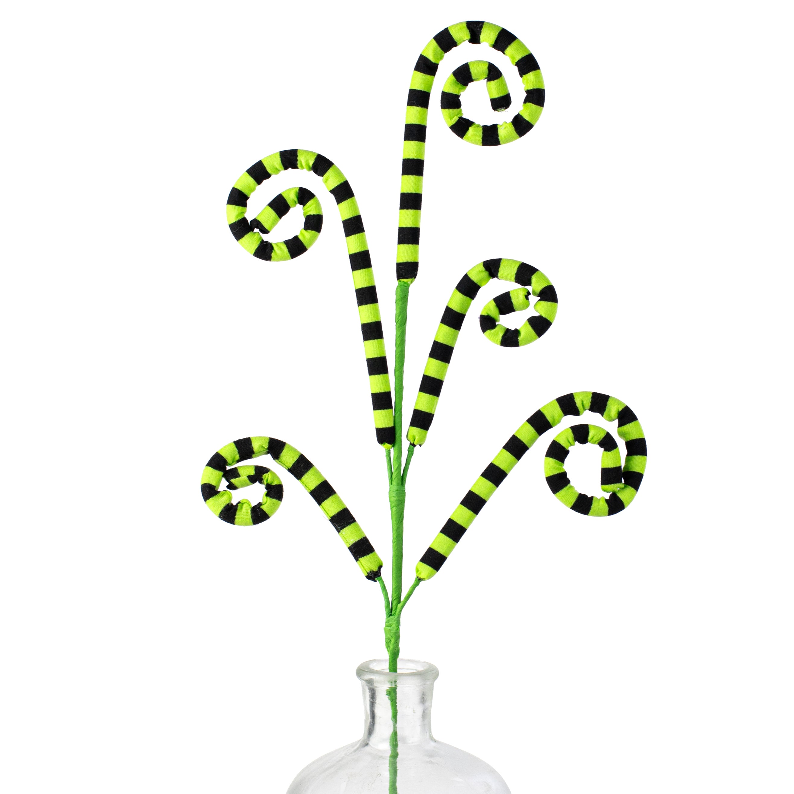 26" Striped Curly Spray: Lime Green & Black Item Number: 57055GNBK