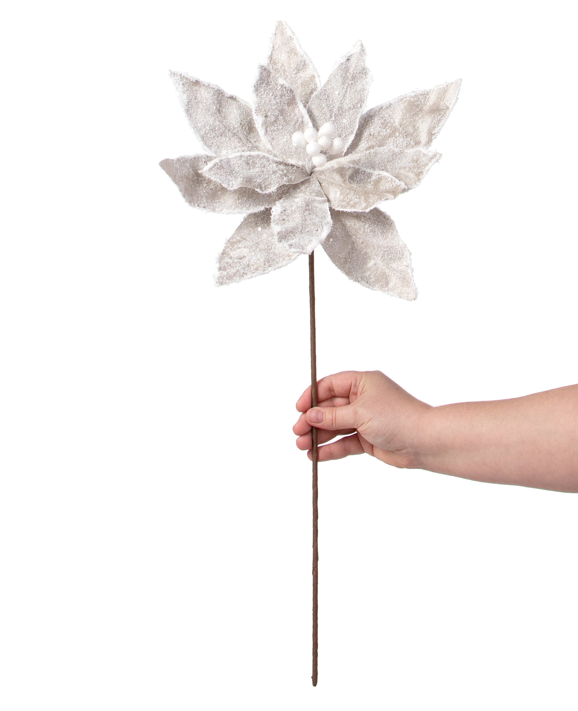 22" Sugar Poinsettia Spray: Taupe detail photo 4