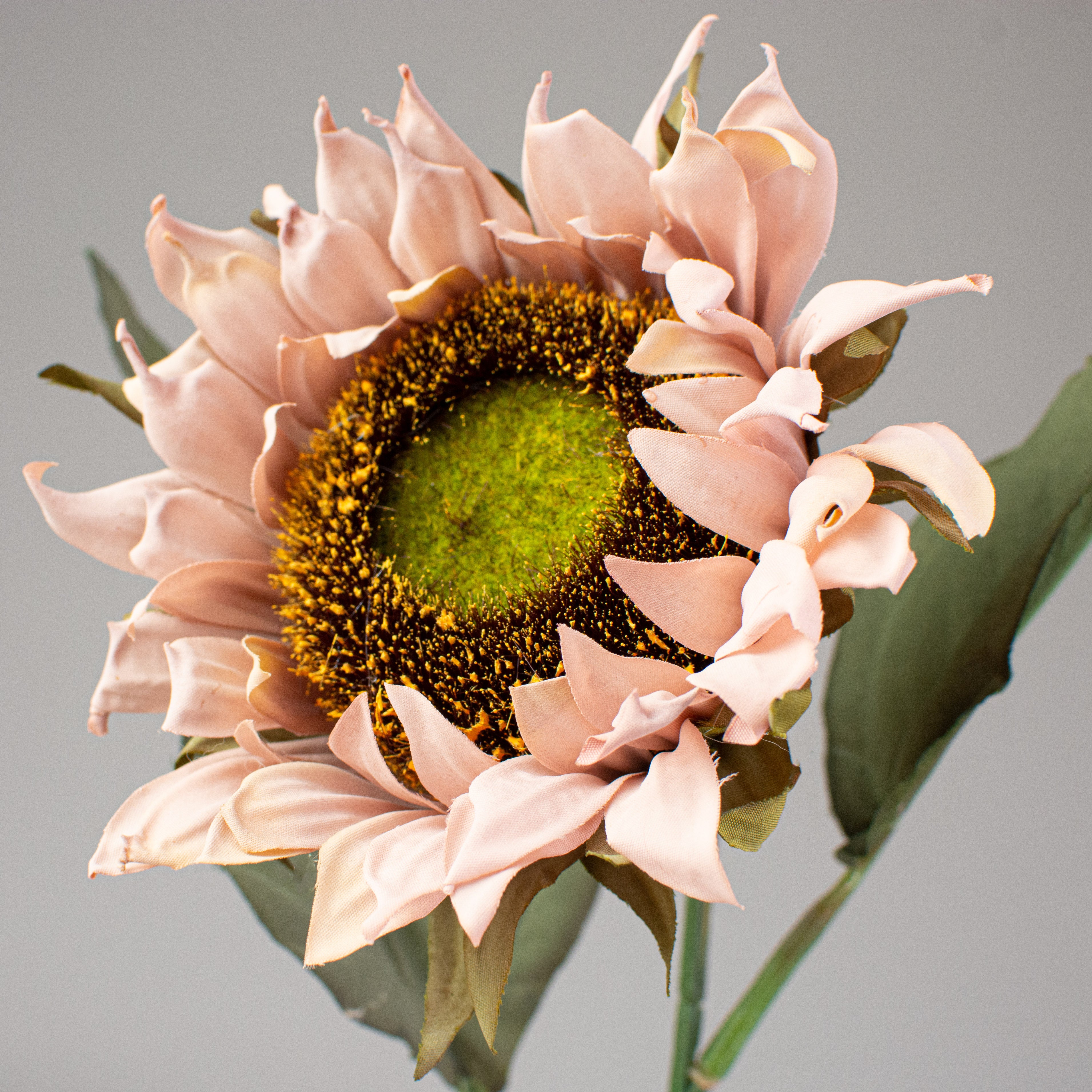 23" Sunflower Stem: Mauve Lifestyle Photo