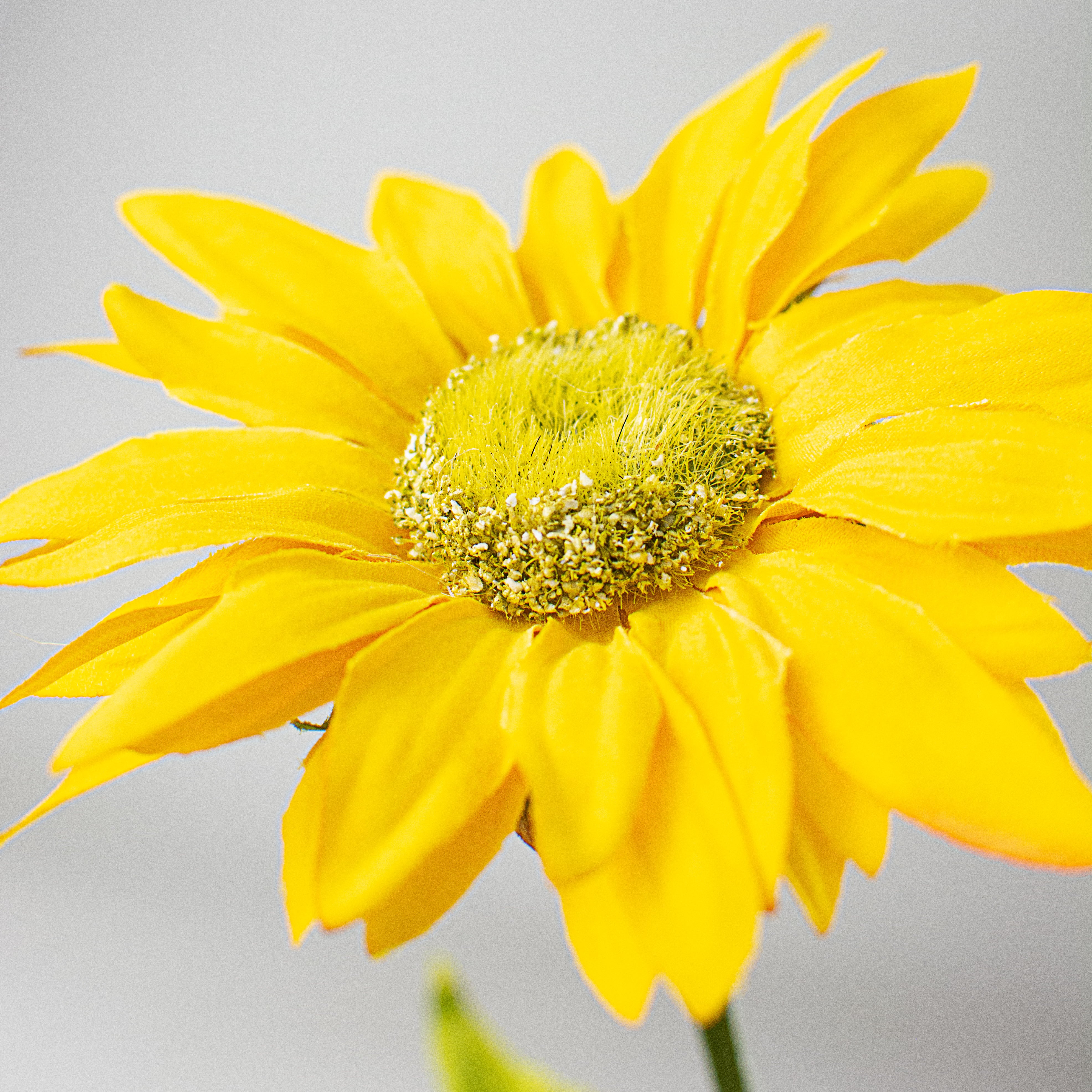 23" Sunflower Spray: Yellow Lifestyle Photo