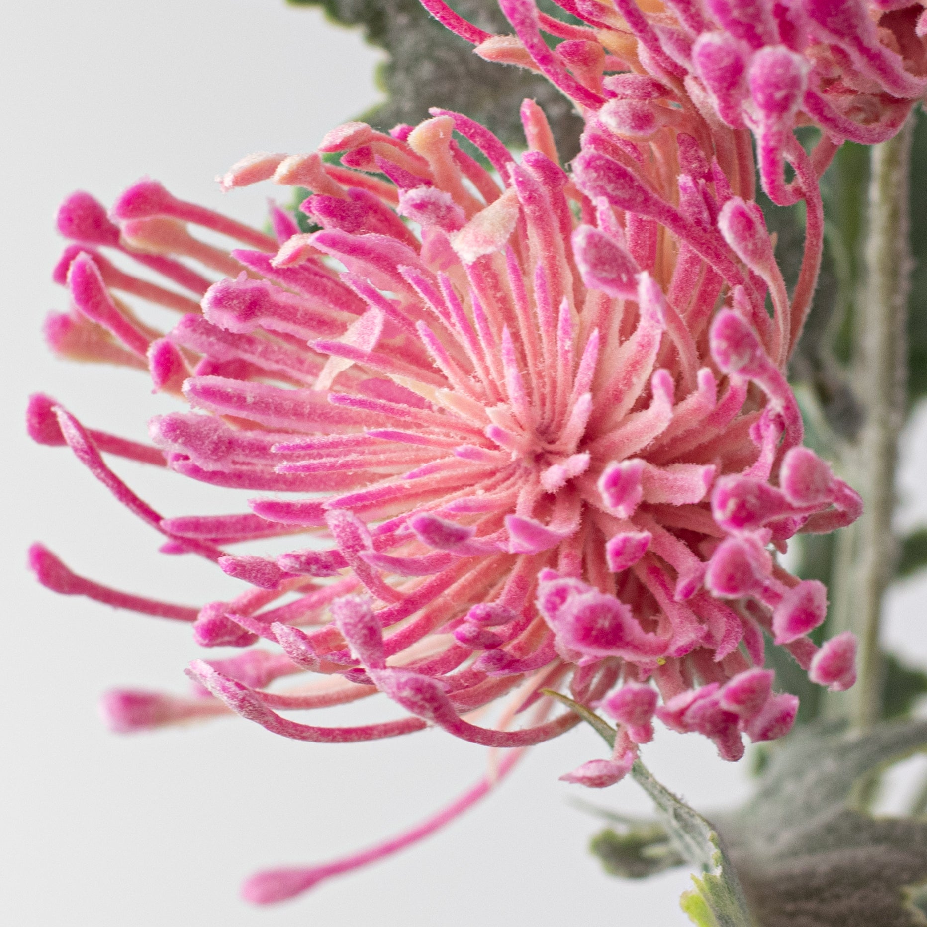 15" Thistle Floral Bouquet: Fuchsia Pink Lifestyle Photo