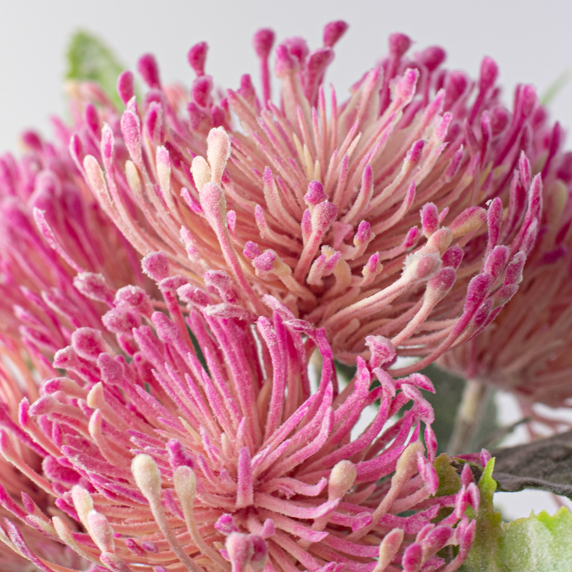 15" Thistle Floral Bouquet: Fuchsia Pink detail photo 4