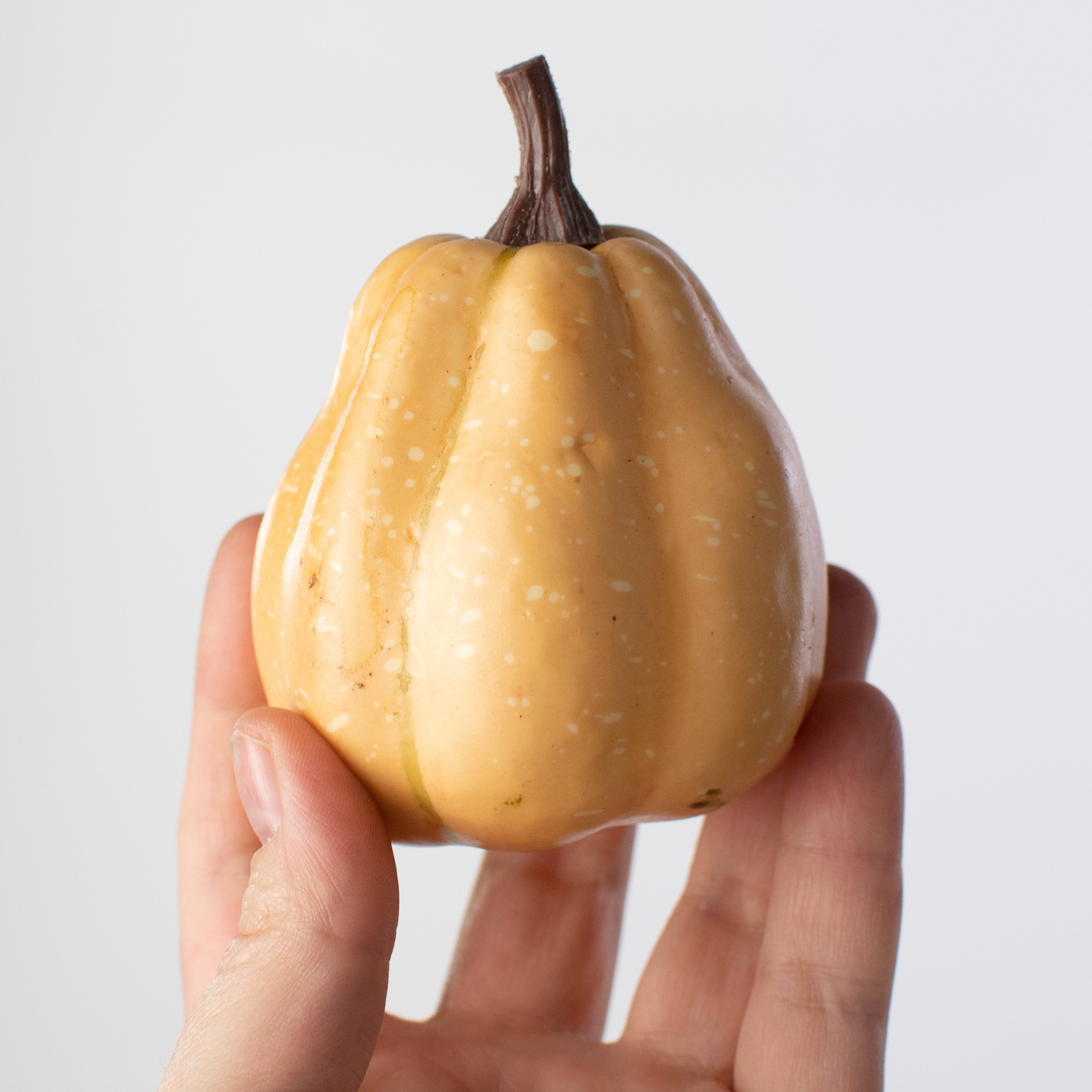 1.75" to 3.75" Assorted Artificial Pumpkins: Sage Fall (12) detail photo 3