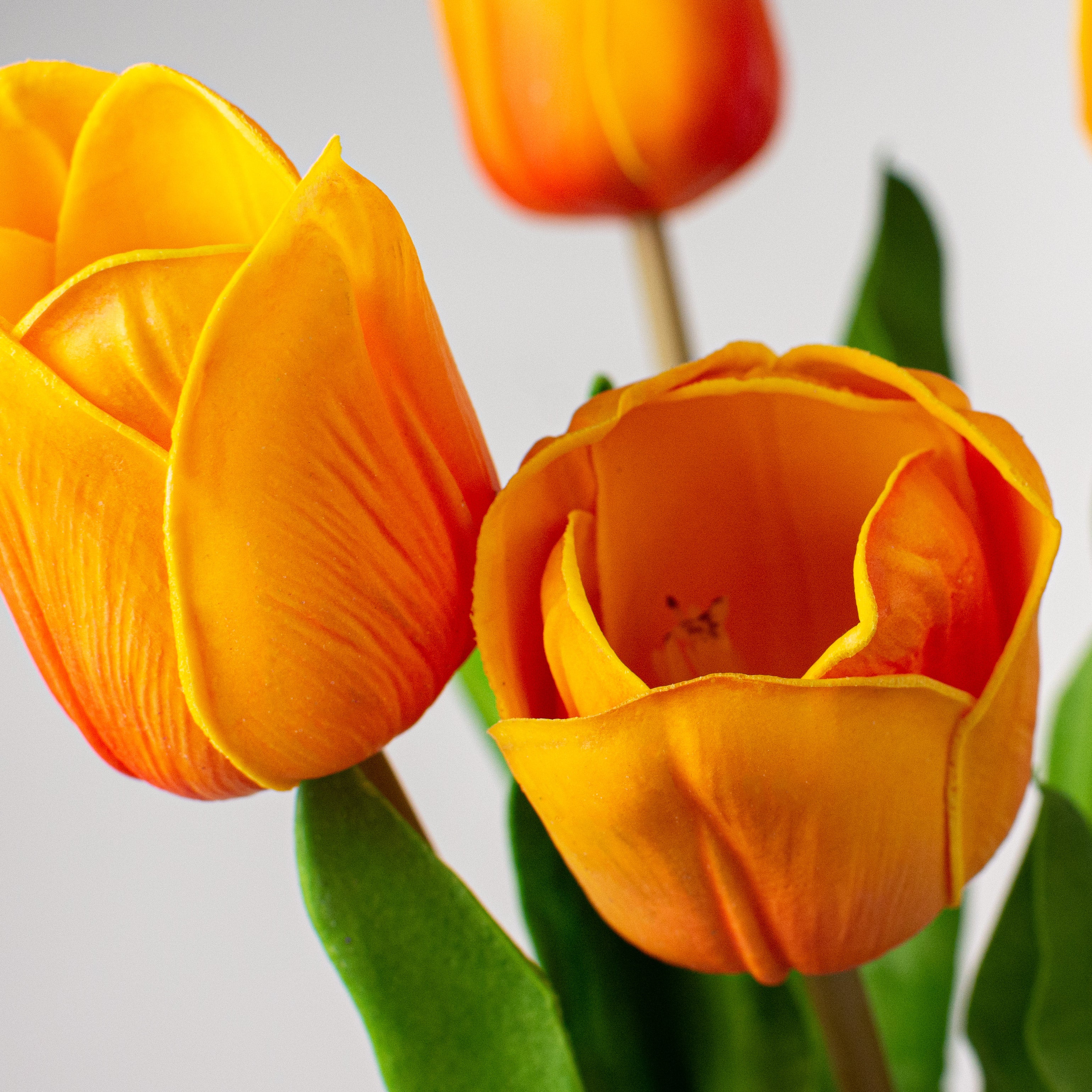23" Tulip Stem Bunch (X5): Orange detail photo 4