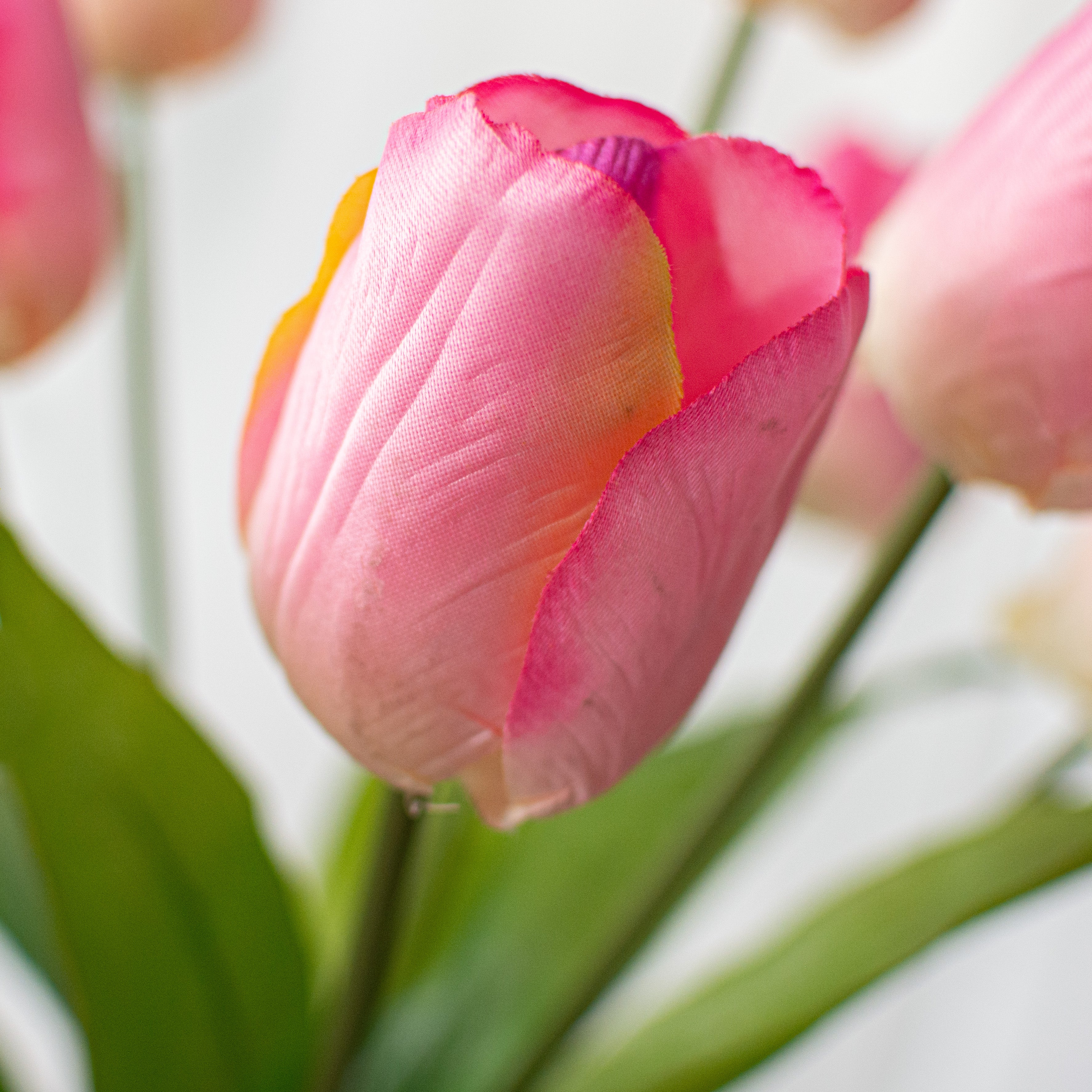 17" Tulips Bush: Pink Lifestyle Photo