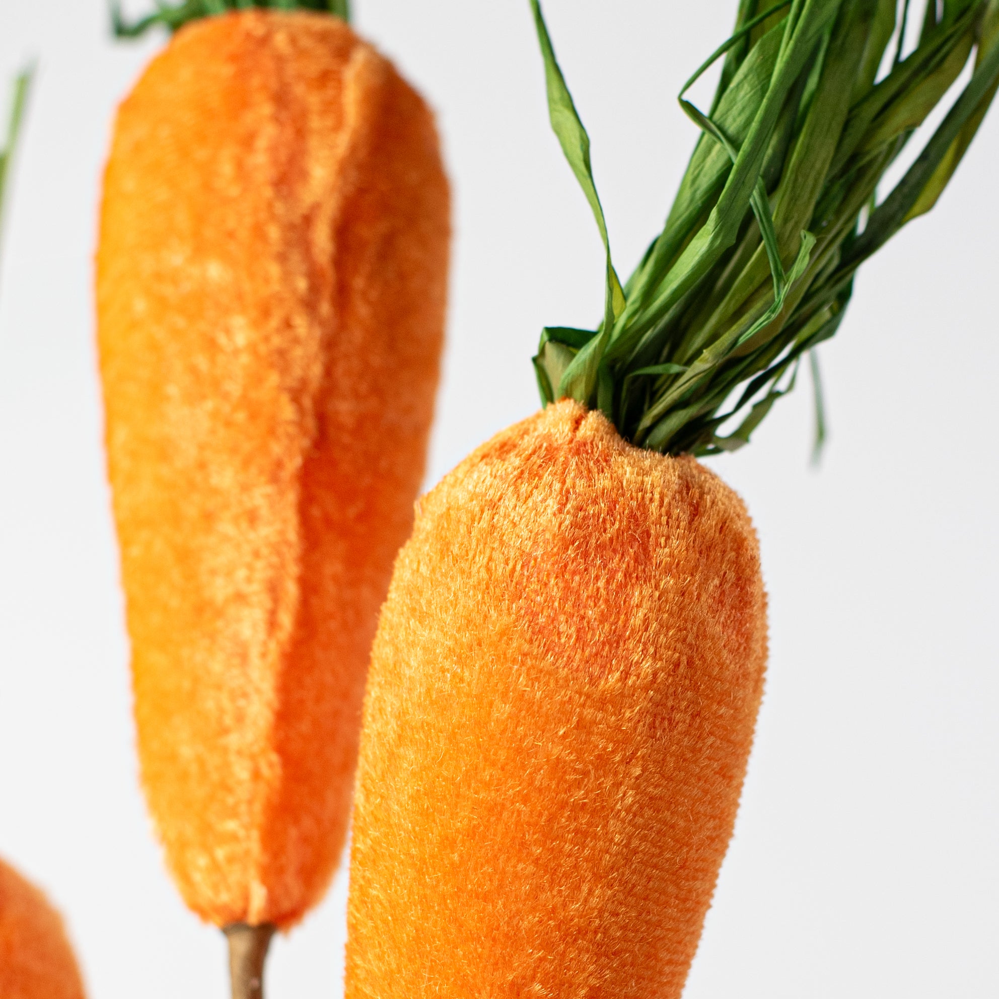 18" Velvet Carrot Spray Lifestyle Photo