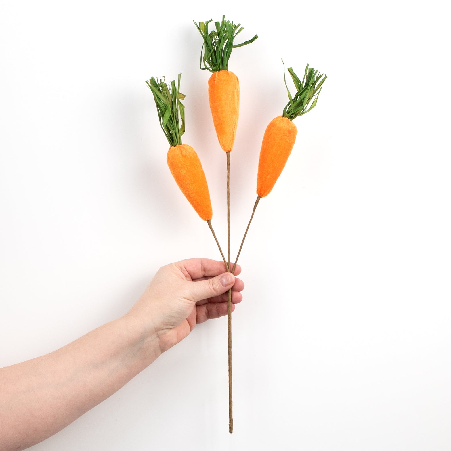18" Velvet Carrot Spray detail photo 3