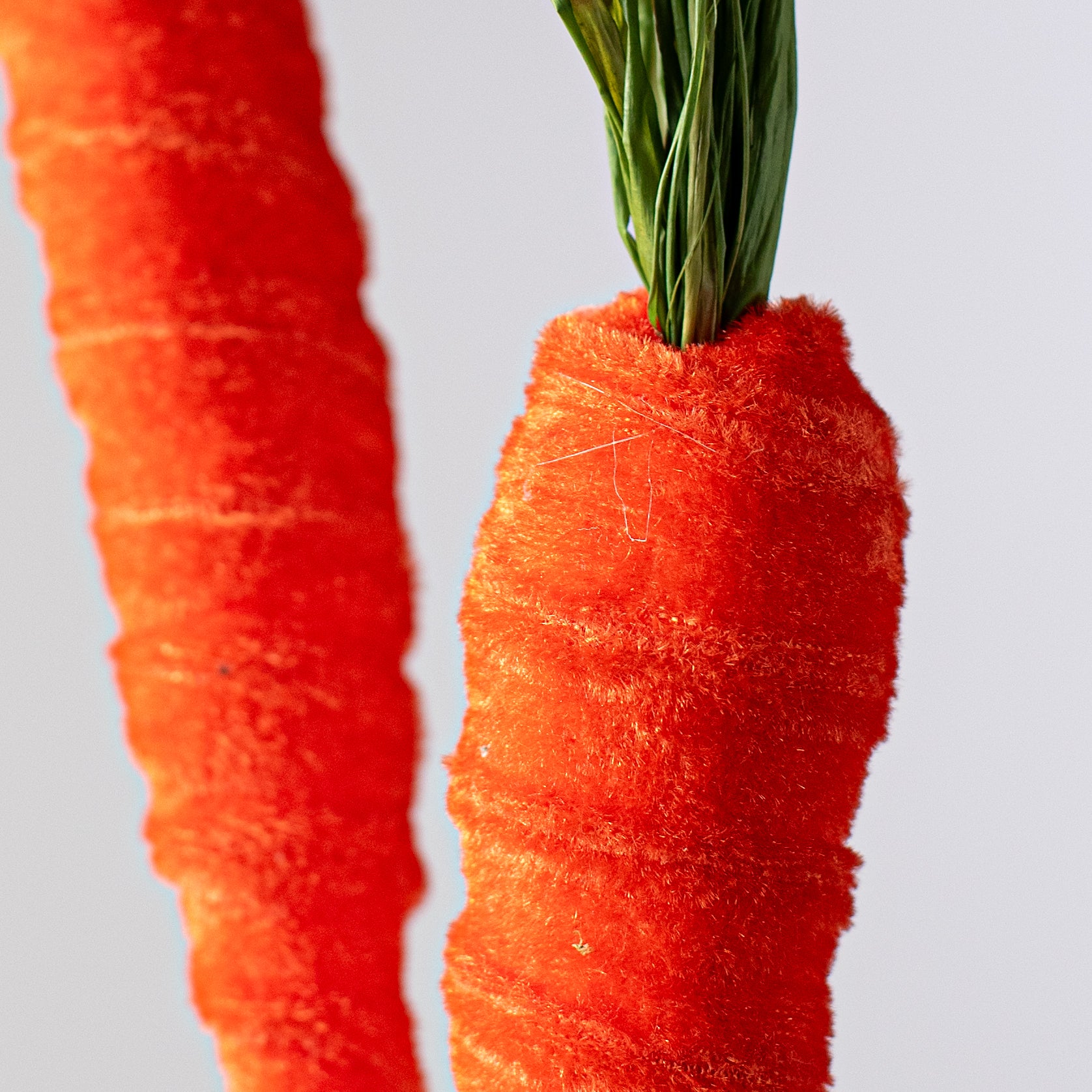 30" Velvet Carrot Spray: Orange Lifestyle Photo
