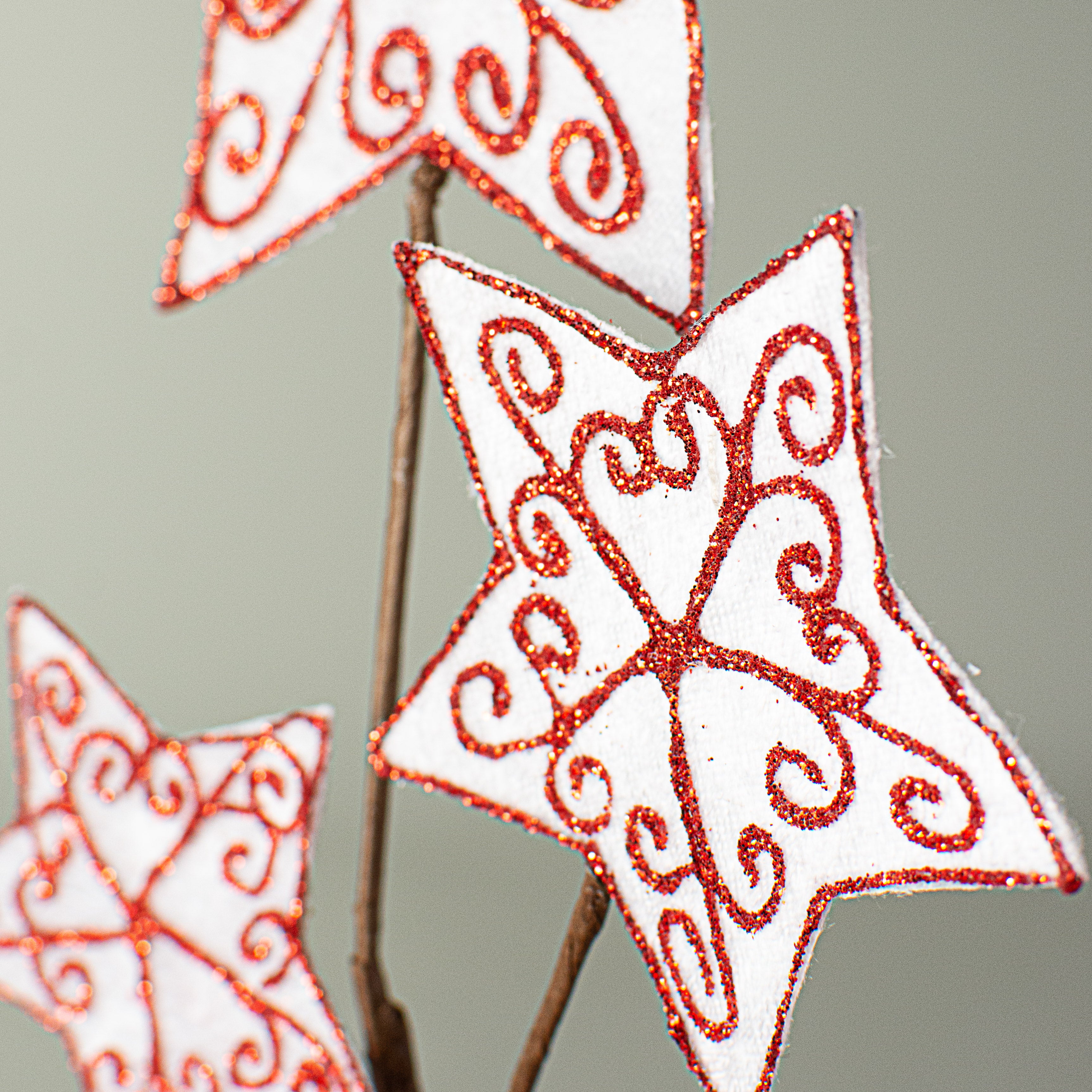 21" Velvet Glitter Star Pick: White & Red Lifestyle Photo