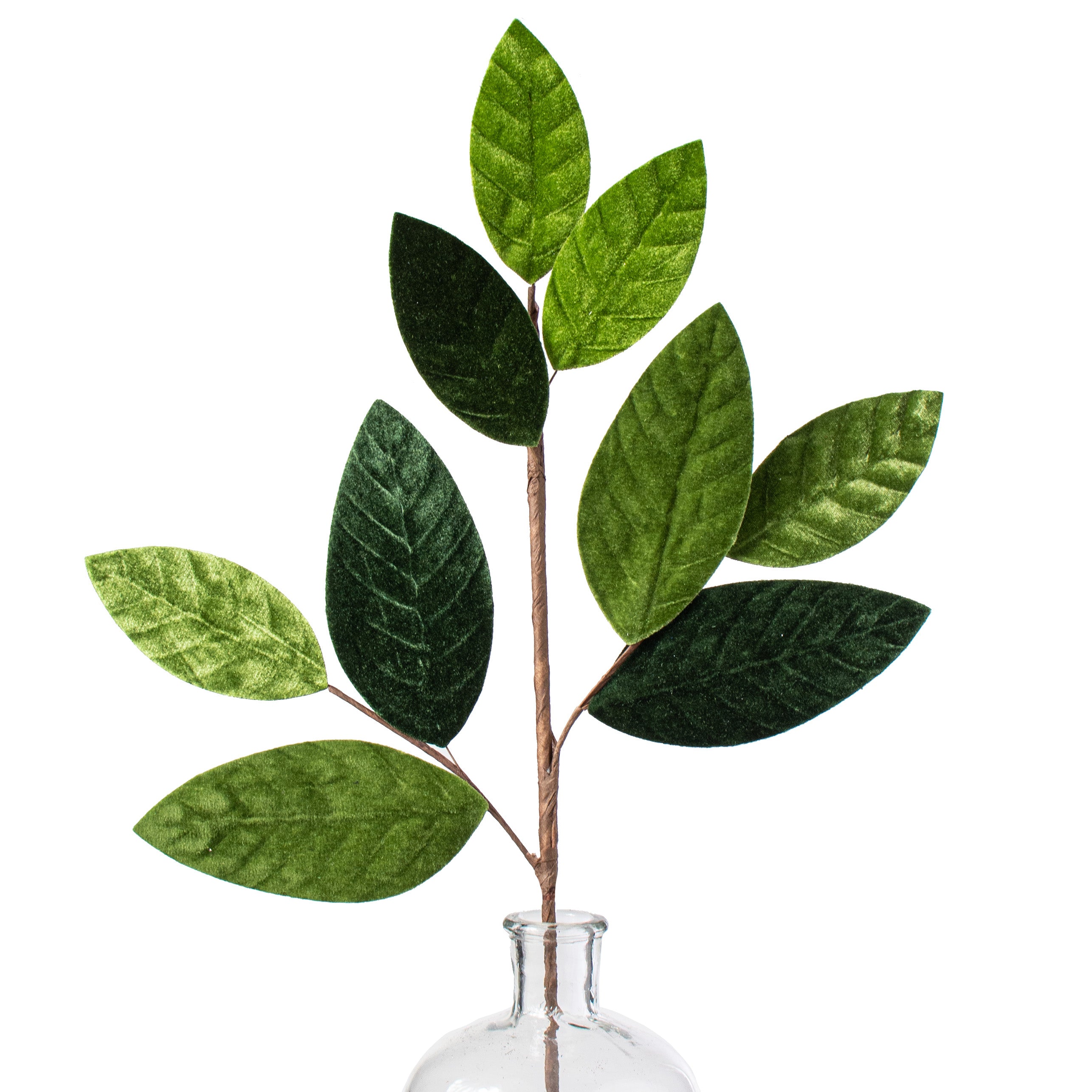 24" Velvet Magnolia Leaf Spray: Two Tone Green Item Number: XX781142