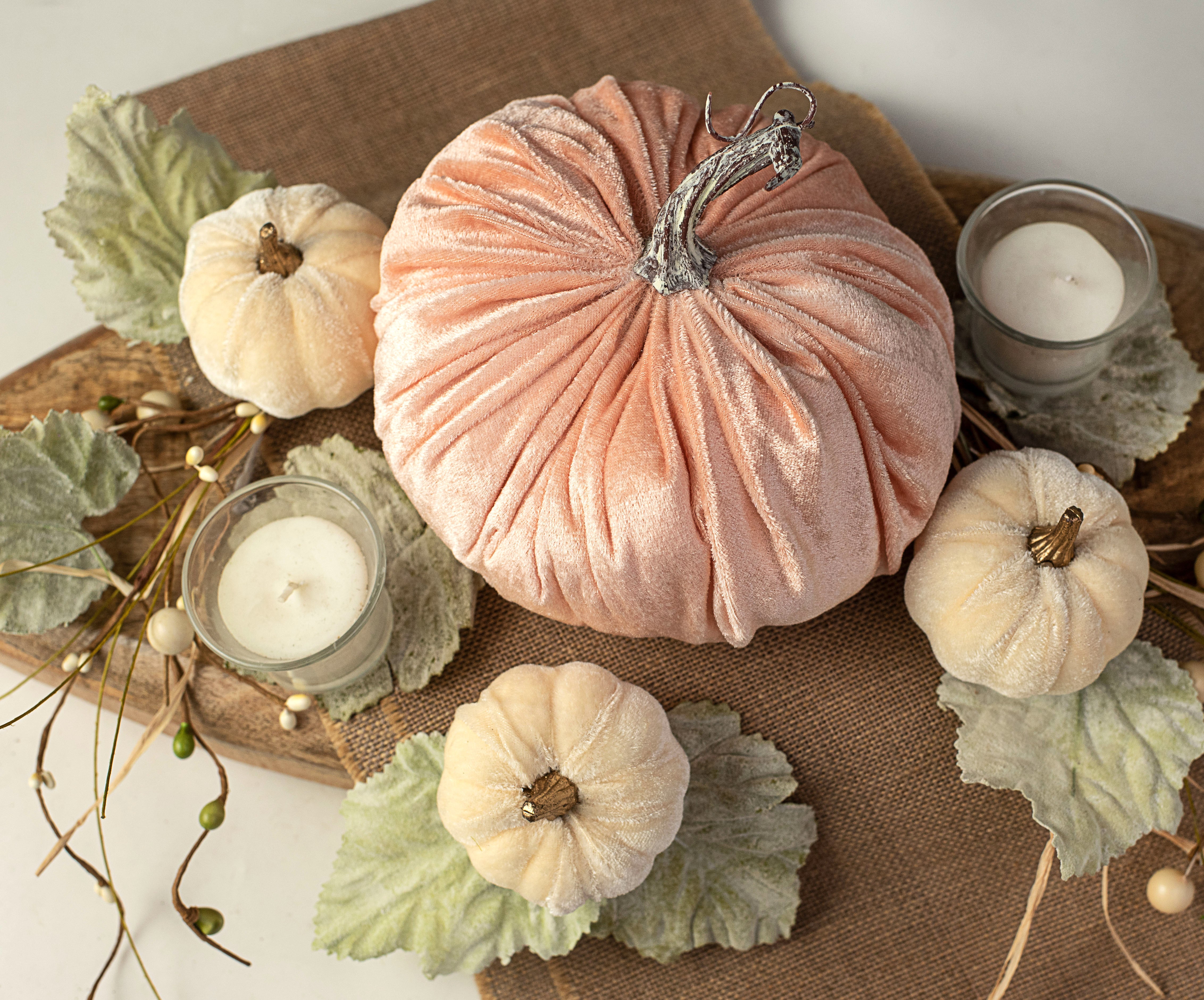 6.5" Velvet Pumpkin: Champagne Pink Lifestyle Photo