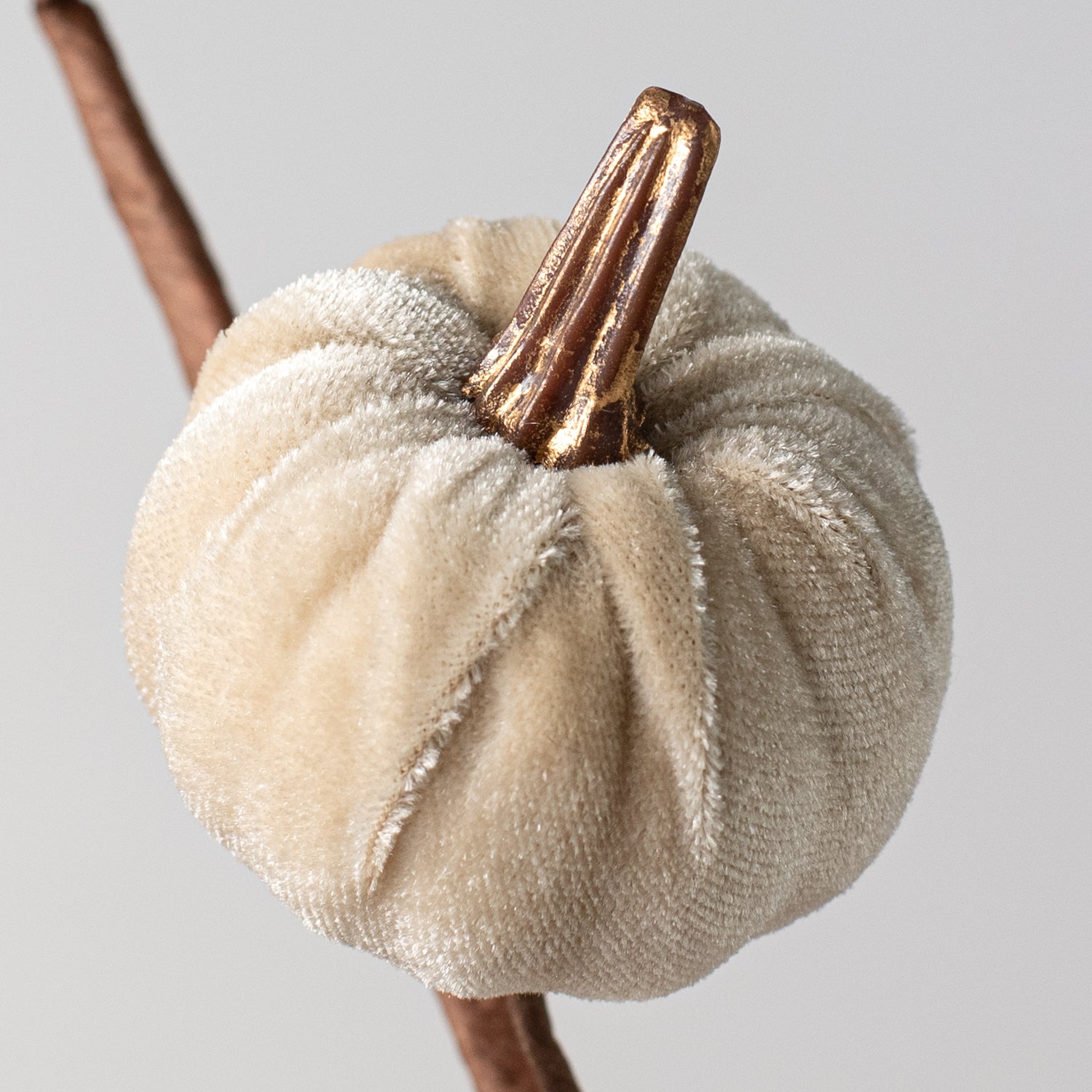 15" Velvet Pumpkins with Gold Stem Pick: Champagne Lifestyle Photo