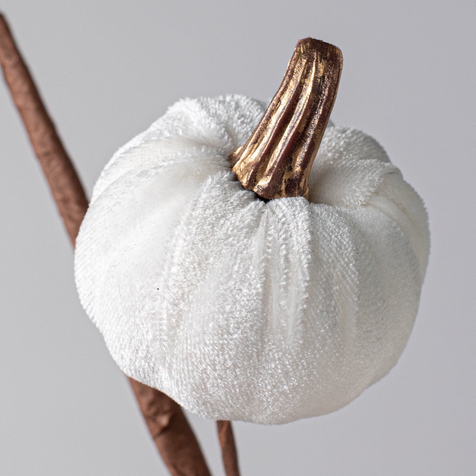 15" Velvet Pumpkins with Gold Stem Pick: White Lifestyle Photo