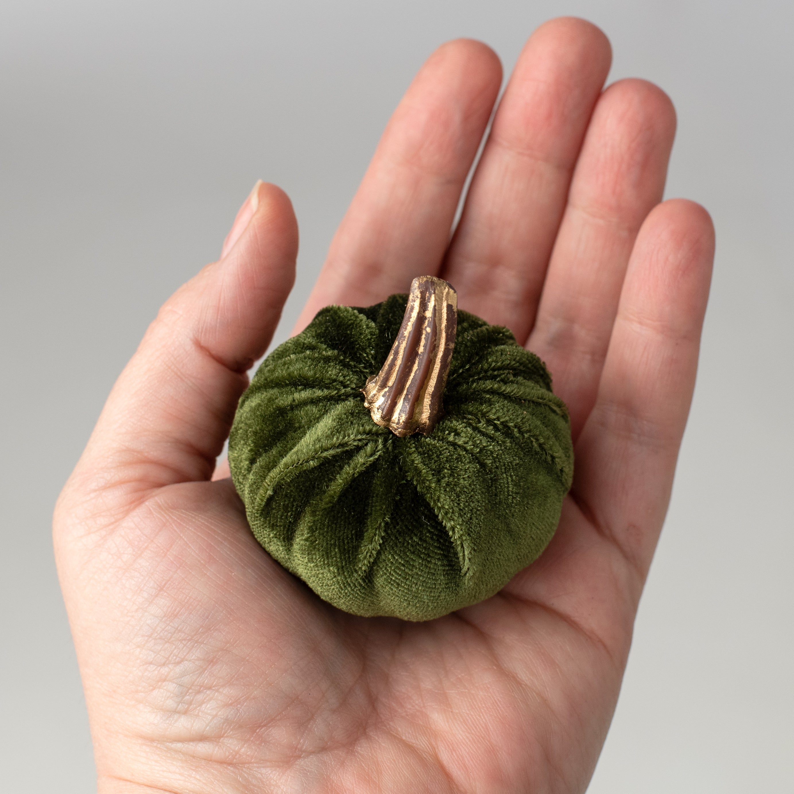 2" Velvet Pumpkins with Gold Stems: Moss Green (Pack of 6) Lifestyle Photo