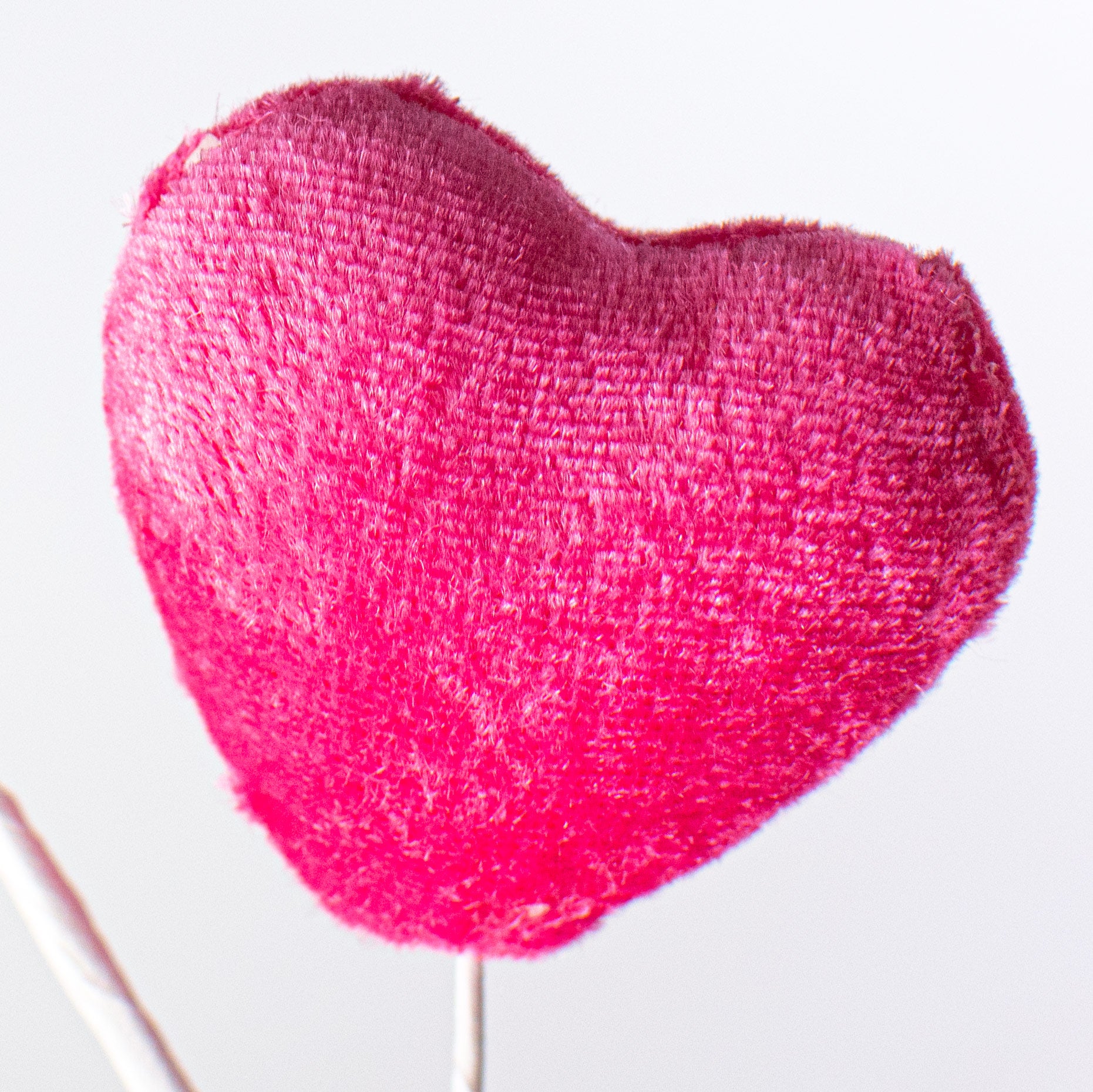 28" Velvet Valentine Heart Spray: Pink Lifestyle Photo