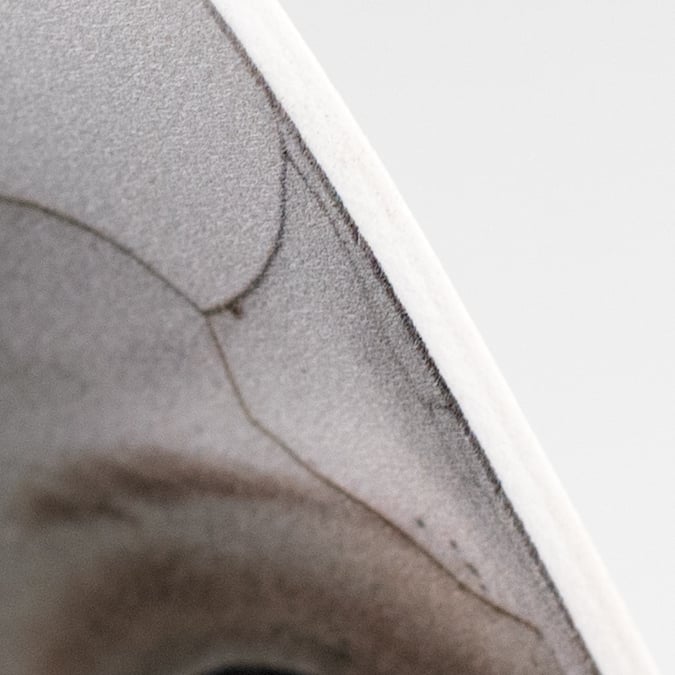 5" Waterproof Accent: Creepy Porcelain Doll Head detail photo 3