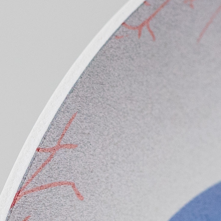 6" Waterproof Accent: Flat Blue Eyeball detail photo 3