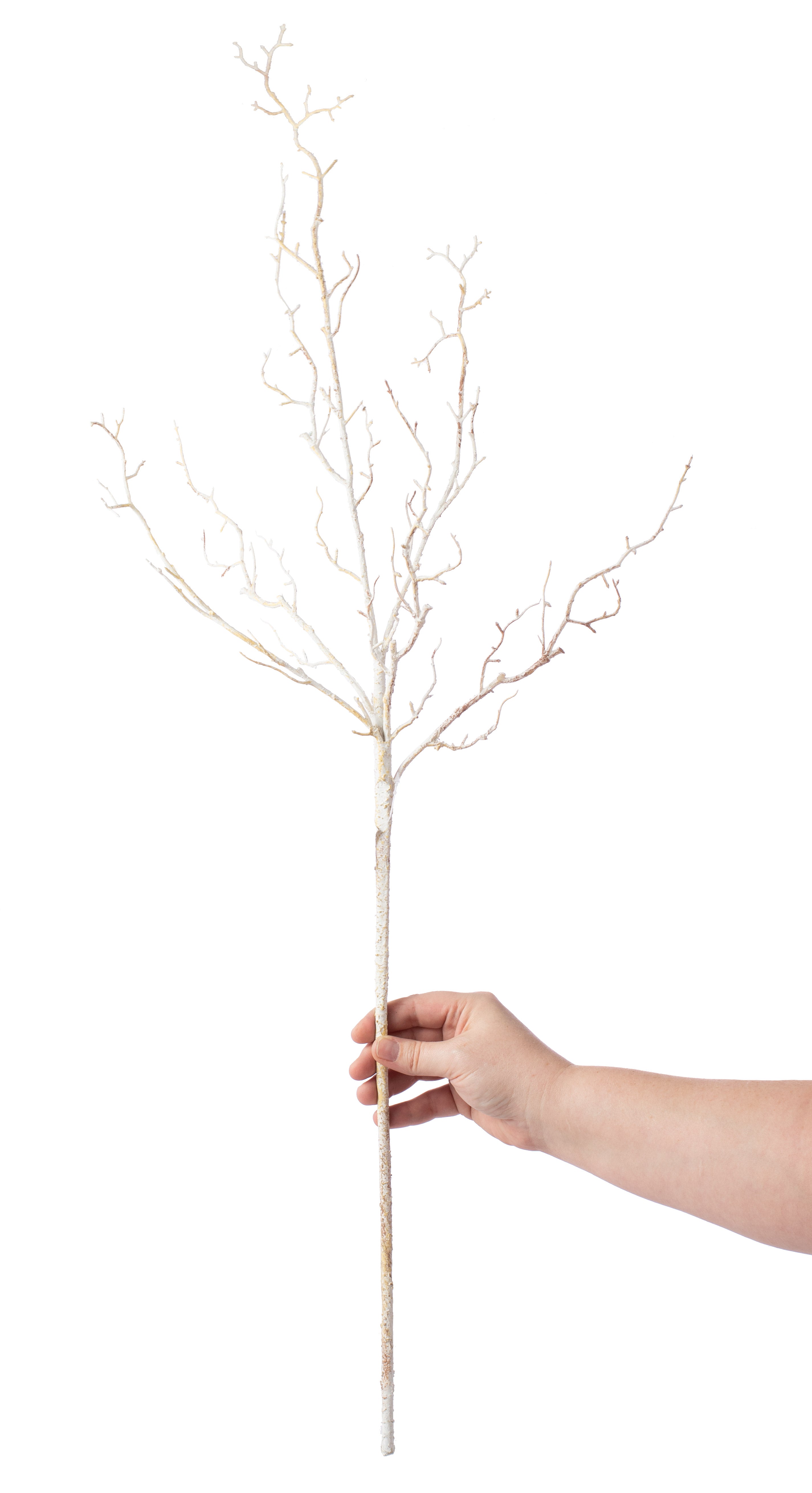 36" White Twig Branch Lifestyle Photo