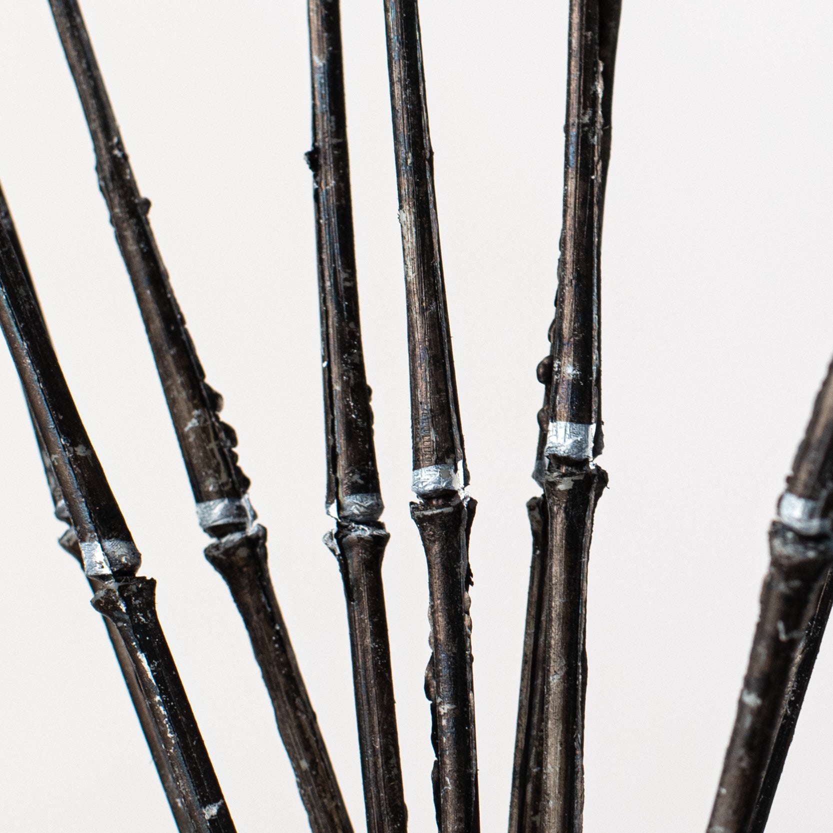 21" Wicked Horsetail Bundle: Black Lifestyle Photo