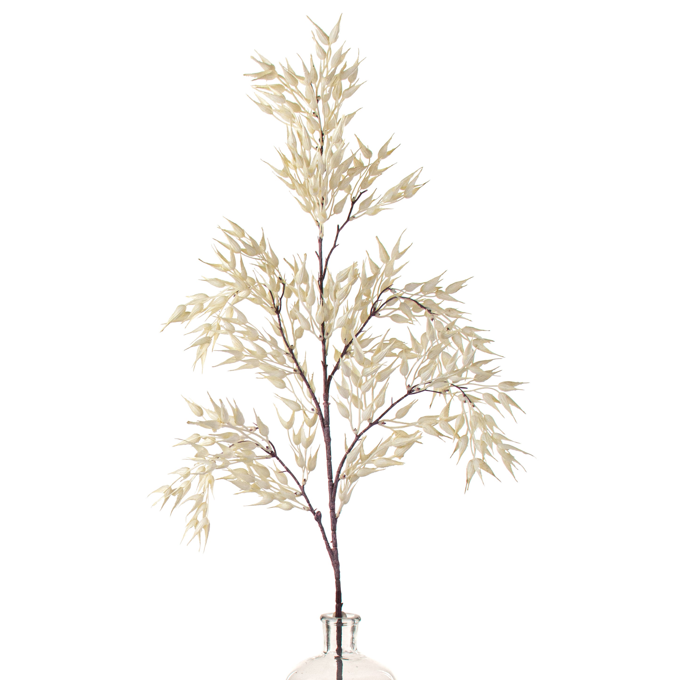 40" Wild Oats Spray: Cream Item Number: 2120069CR
