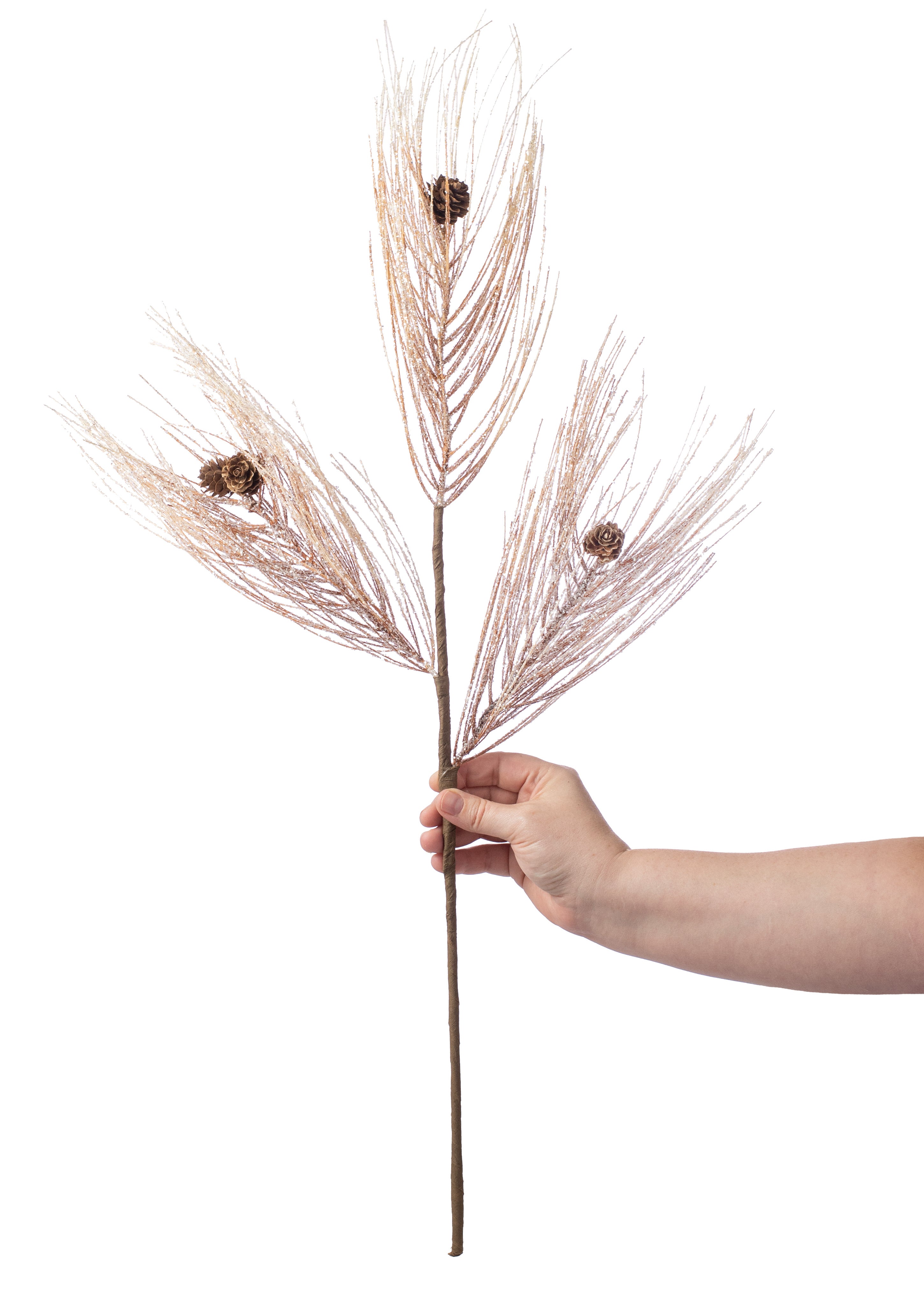 27" Wispy Cone Spray: Brown Ice Lifestyle Photo