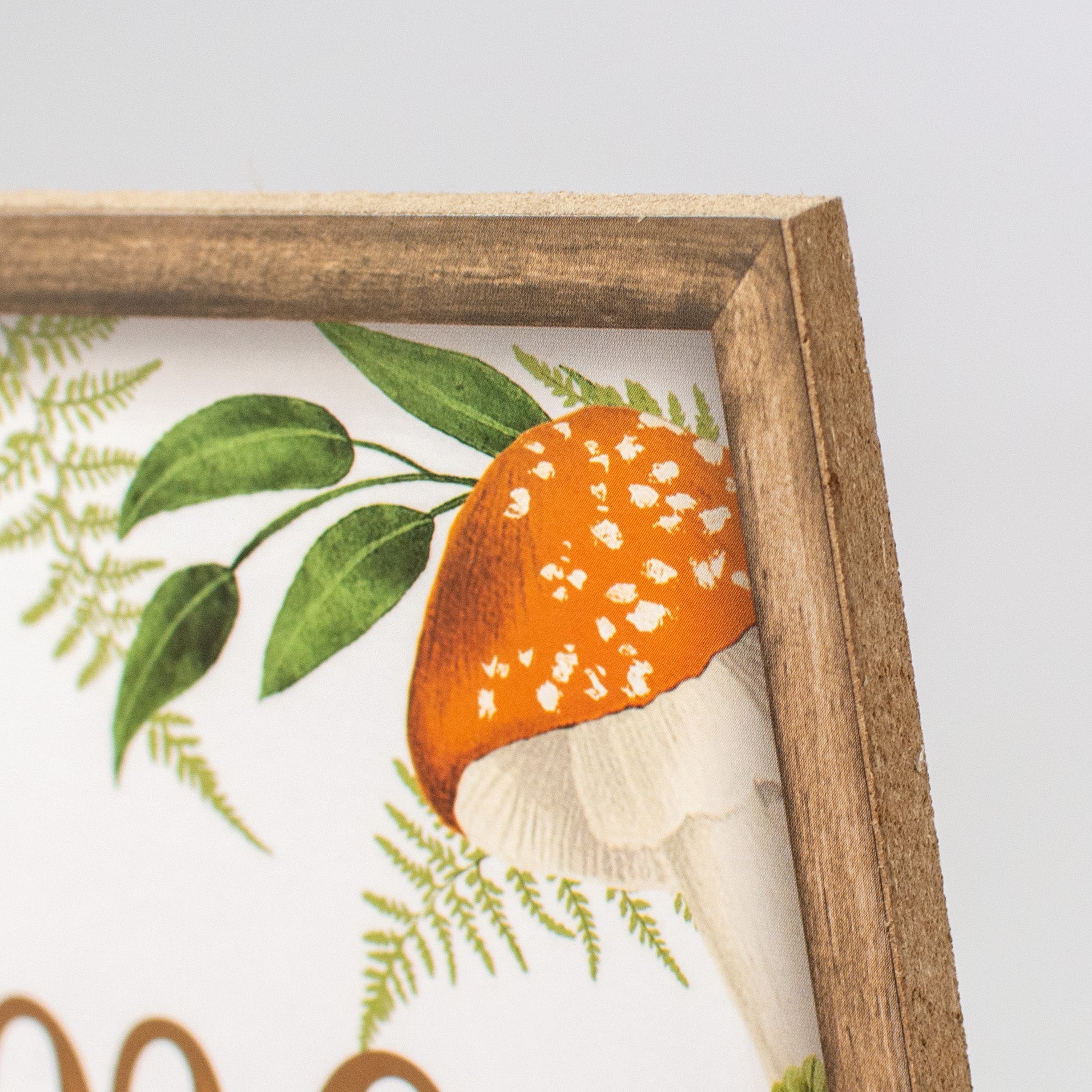 12" Wooden Sign: Framed Welcome Mushrooms detail photo 3