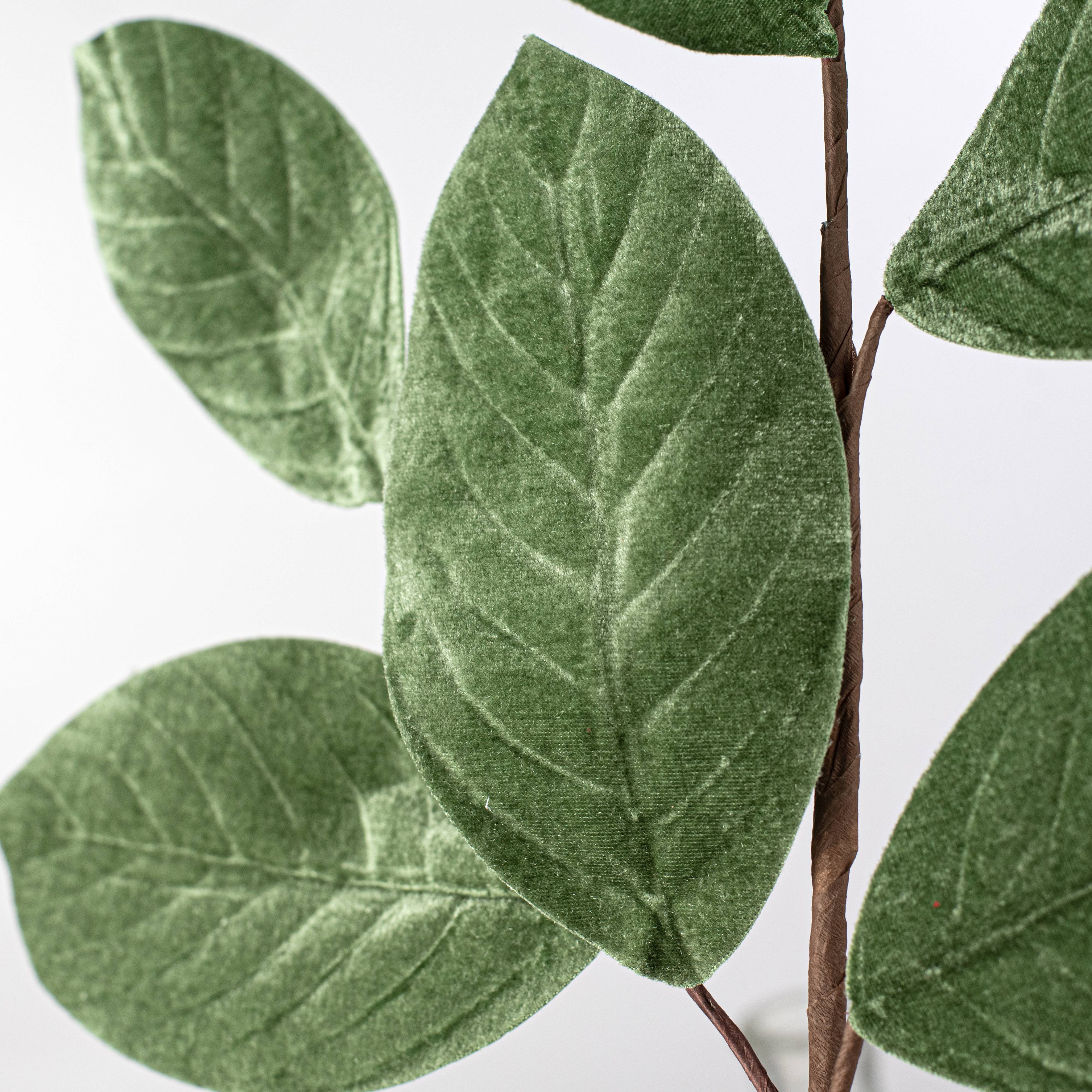 25" Velvet Magnolia Leaves Spray: Sage Green