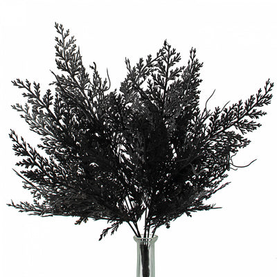 19" Fern Leaves Filler Bush: Black