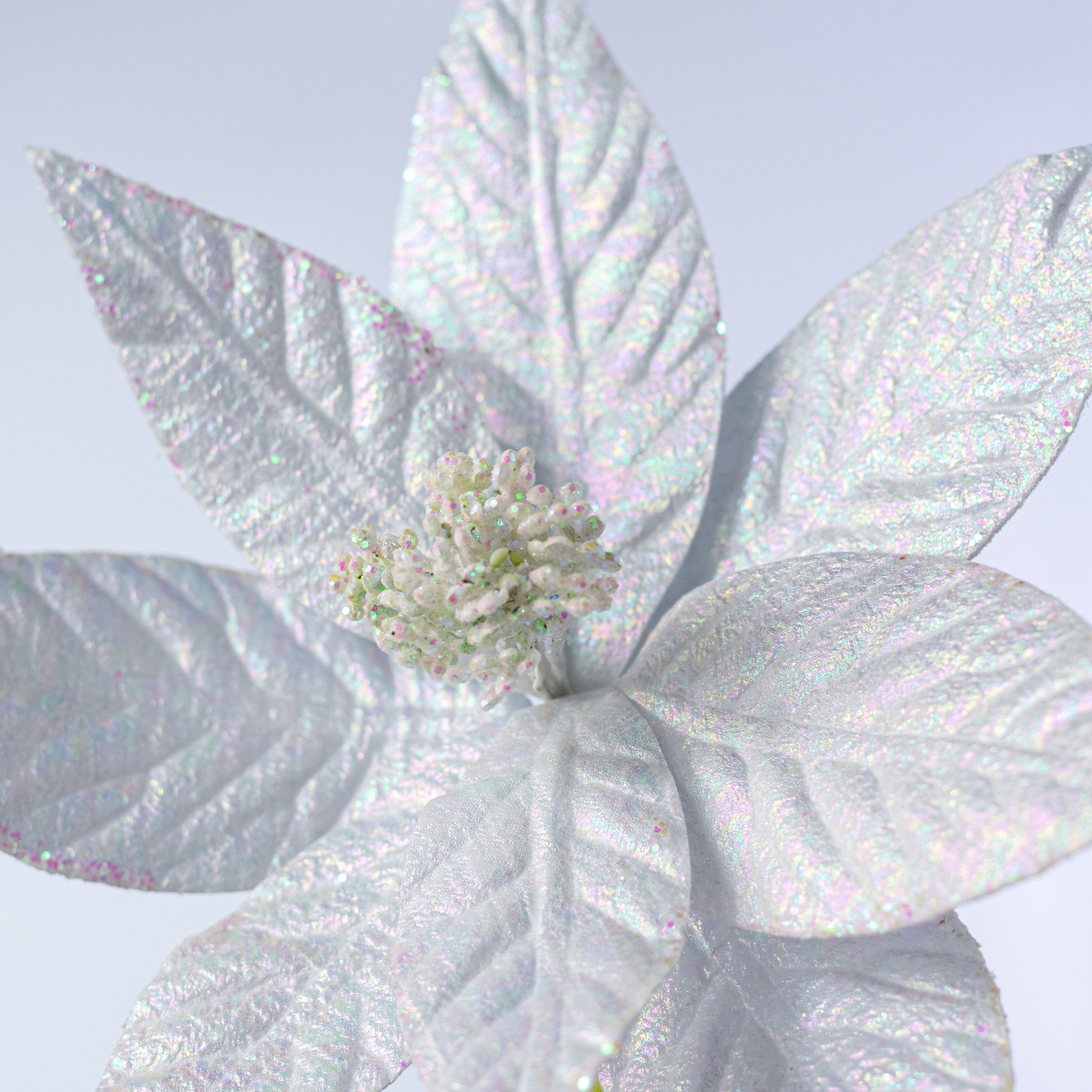 10" x 13" Glossy Poinsettia Stem: Iridescent White Lifestyle Photo