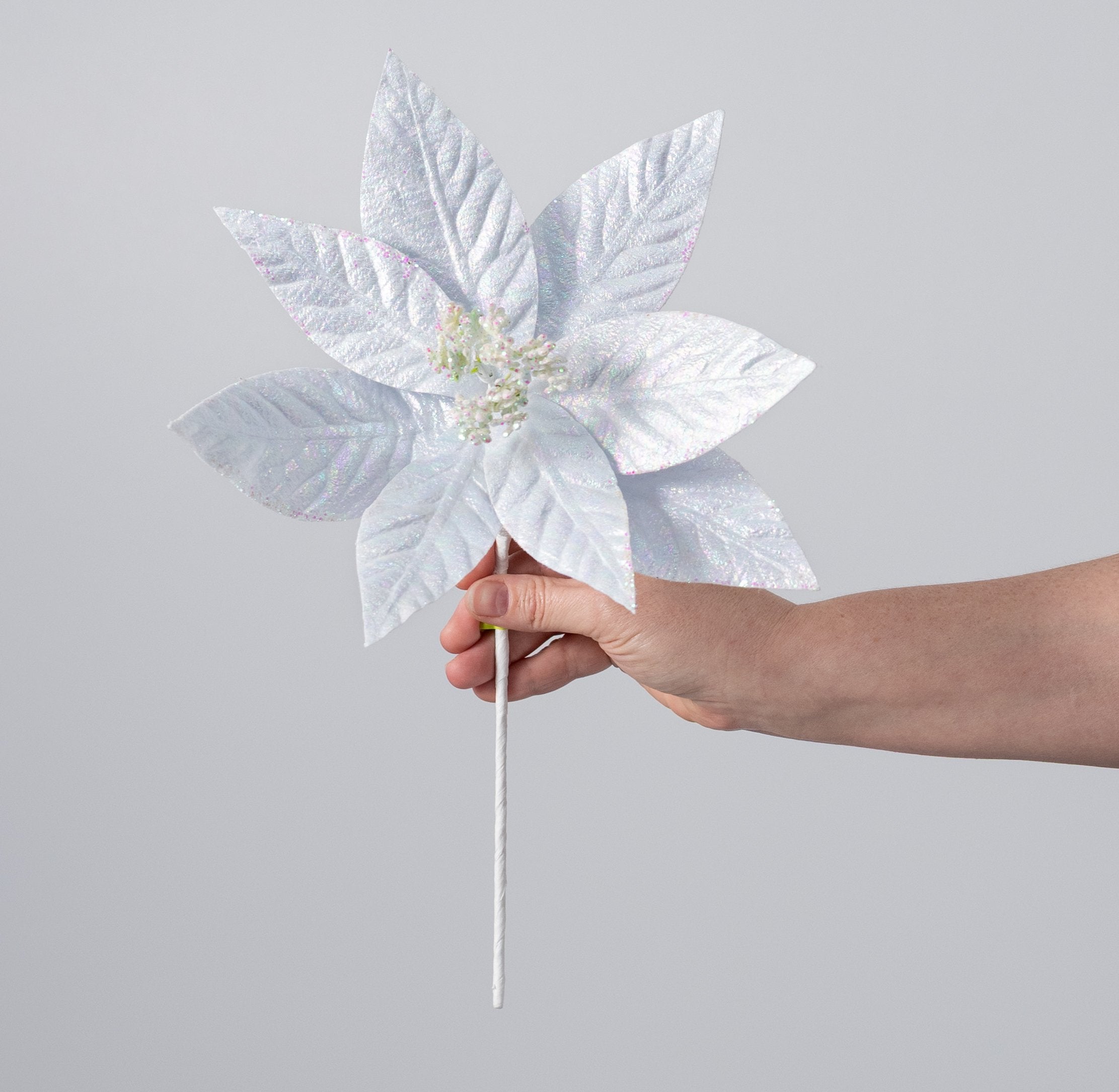 10" x 13" Glossy Poinsettia Stem: Iridescent White detail photo 3
