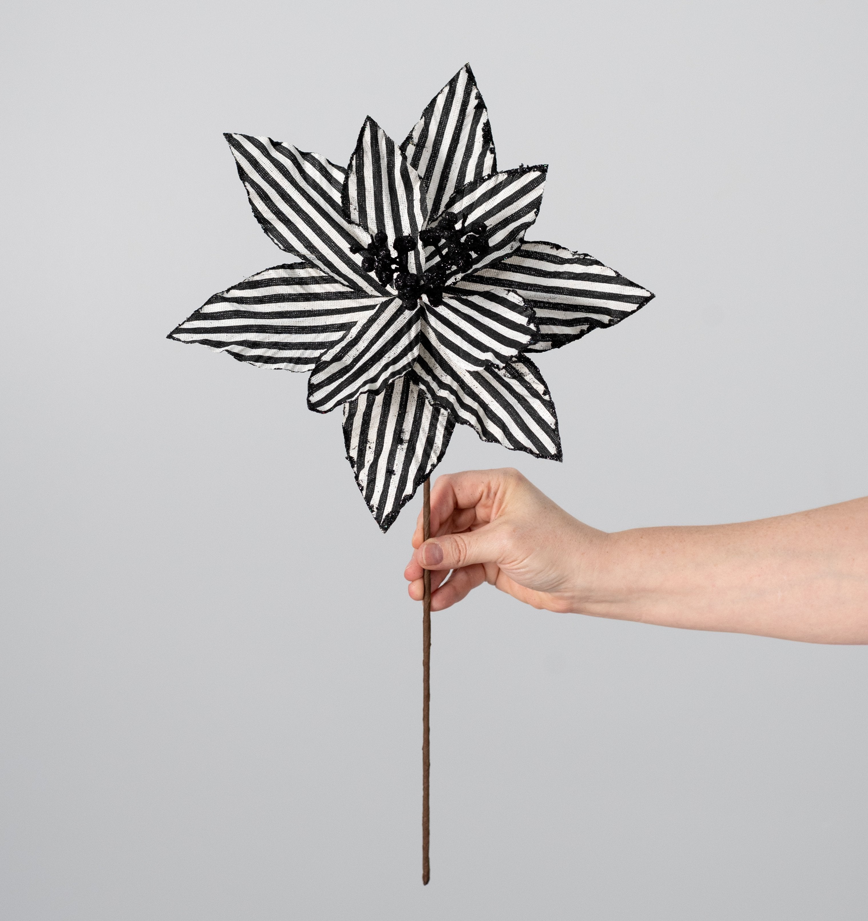 11" x 19" Striped Poinsettia Stem: Black & White detail photo 3