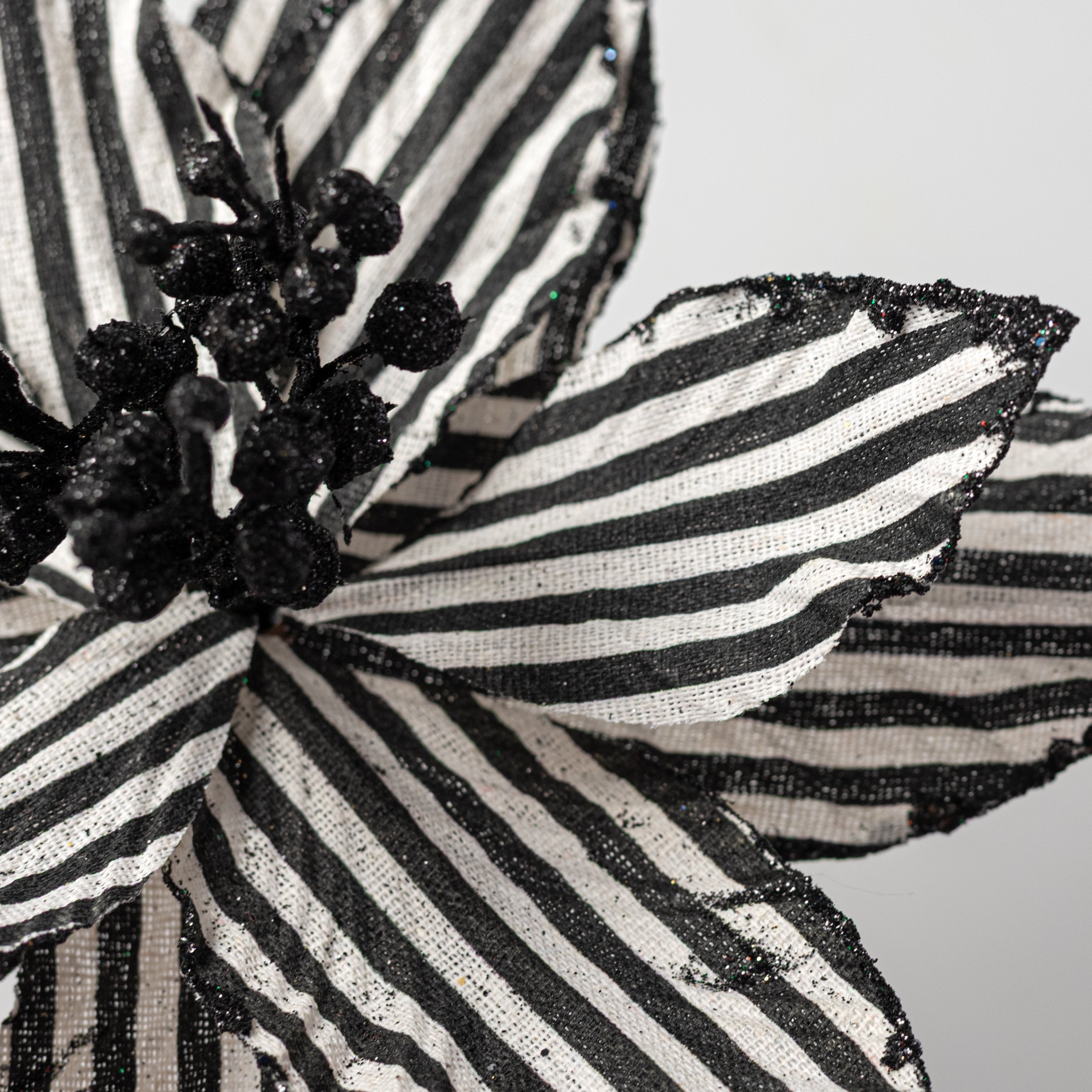 11" x 19" Striped Poinsettia Stem: Black & White detail photo 4