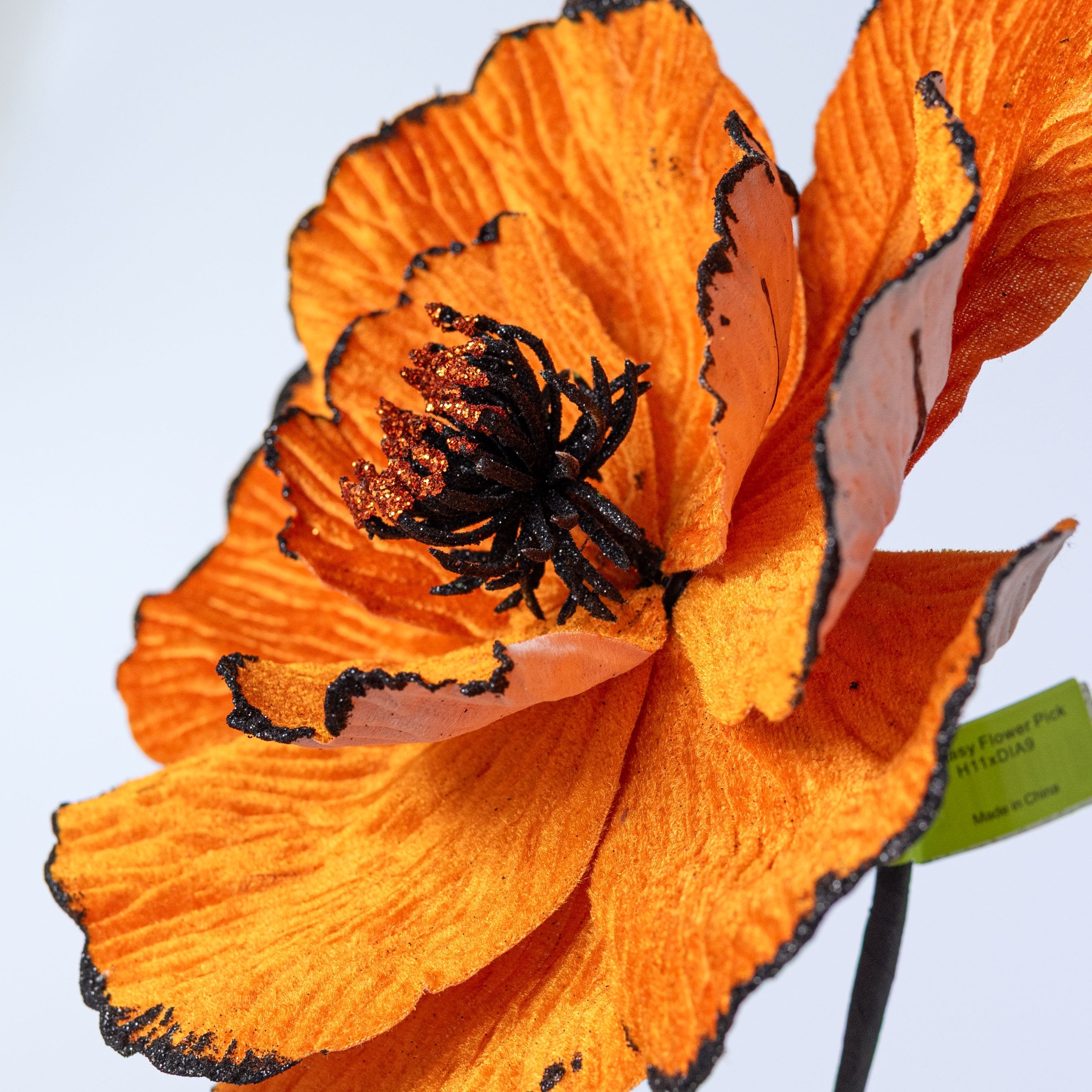9" x 11" Fantasy Flower Pick: Orange & Black detail photo 4