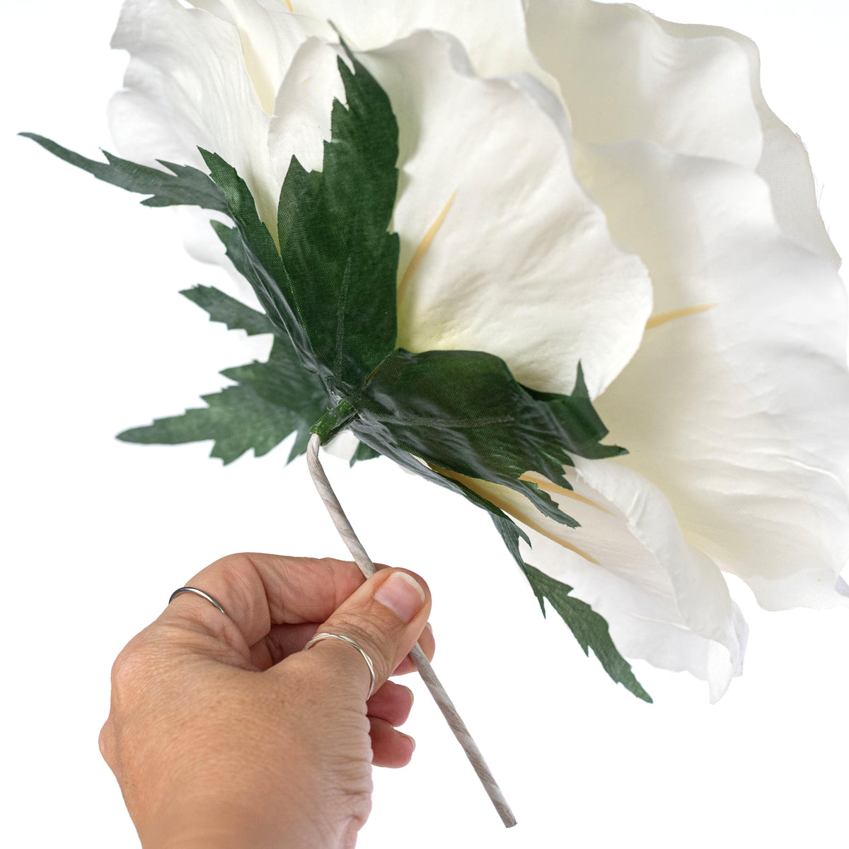 11" Oversized Rose Head: Cream detail photo 3