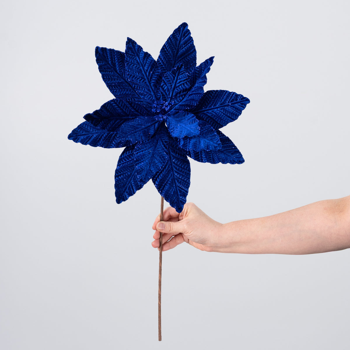 12" x 20" Embossed Velvet Poinsettia Stem: Royal Blue detail photo 3