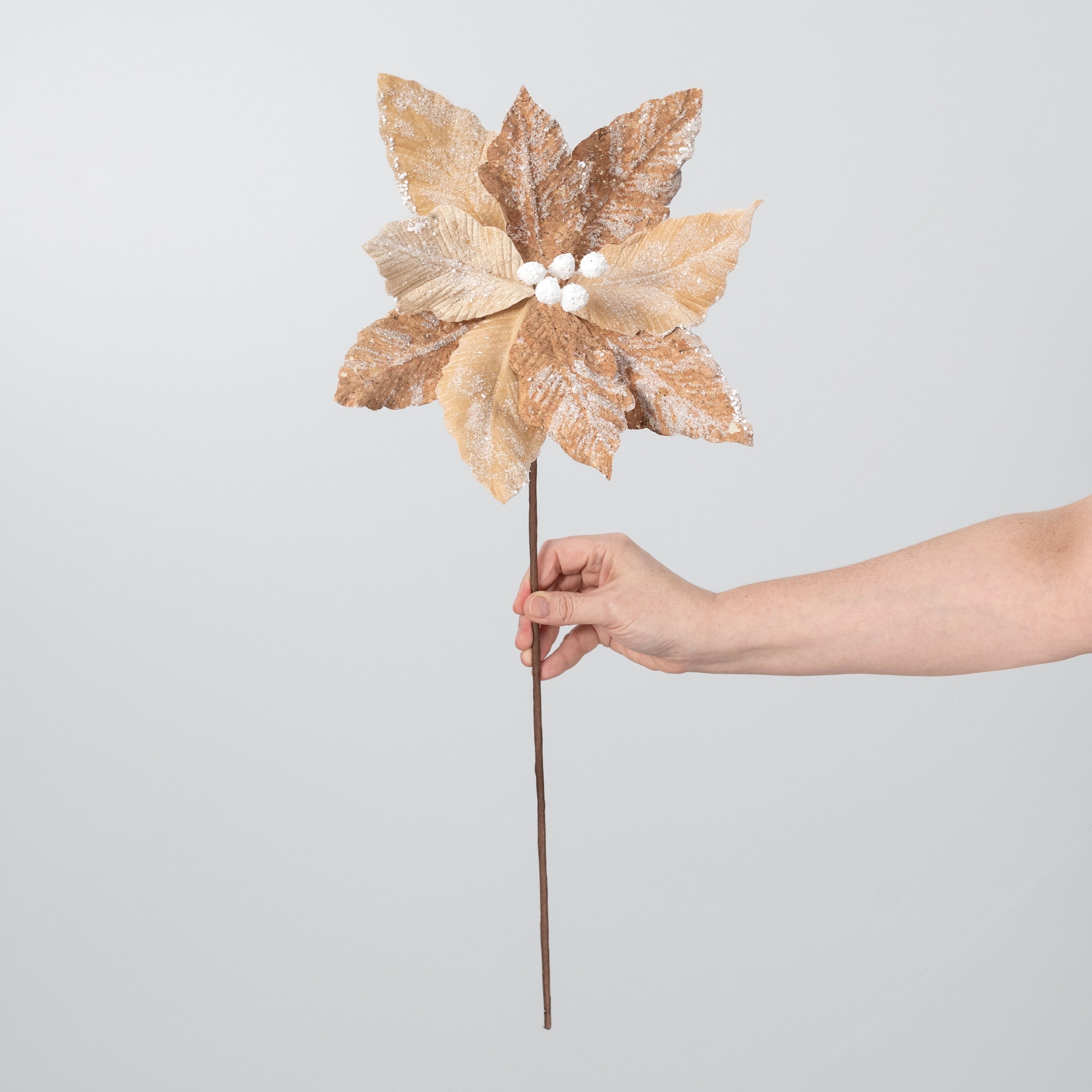 12" x 20" Frosted Poinsettia Stem: Gingerbread Tan detail photo 3